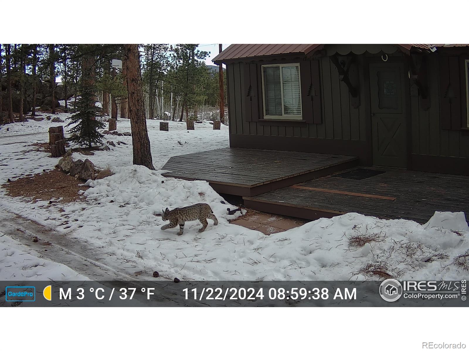 MLS Image #27 for 188  snake lake drive,red feather lakes, Colorado