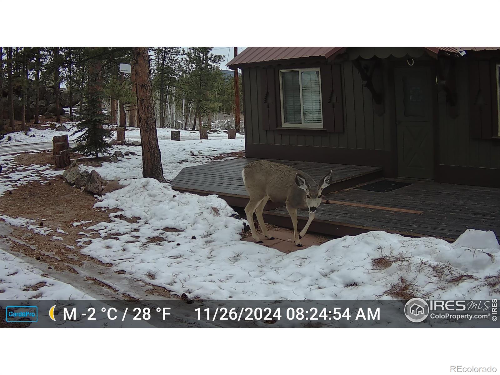 MLS Image #28 for 188  snake lake drive,red feather lakes, Colorado
