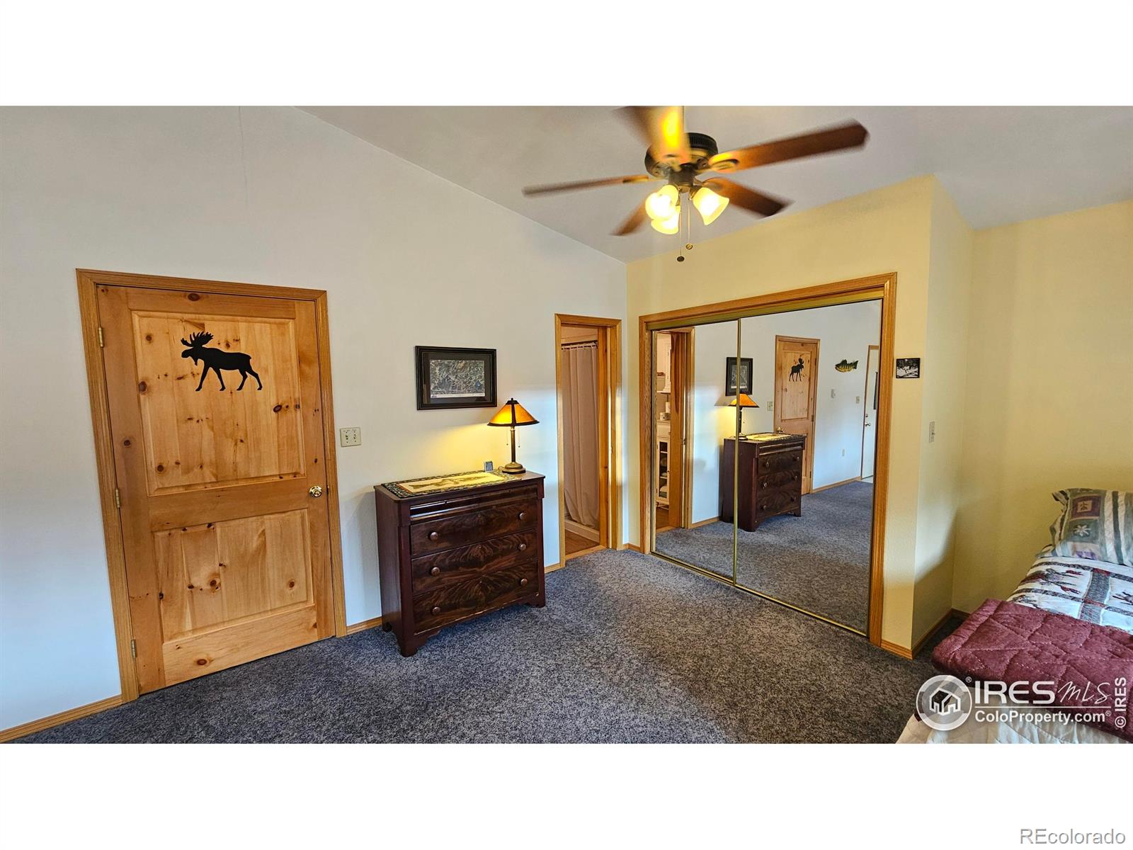 MLS Image #9 for 188  snake lake drive,red feather lakes, Colorado