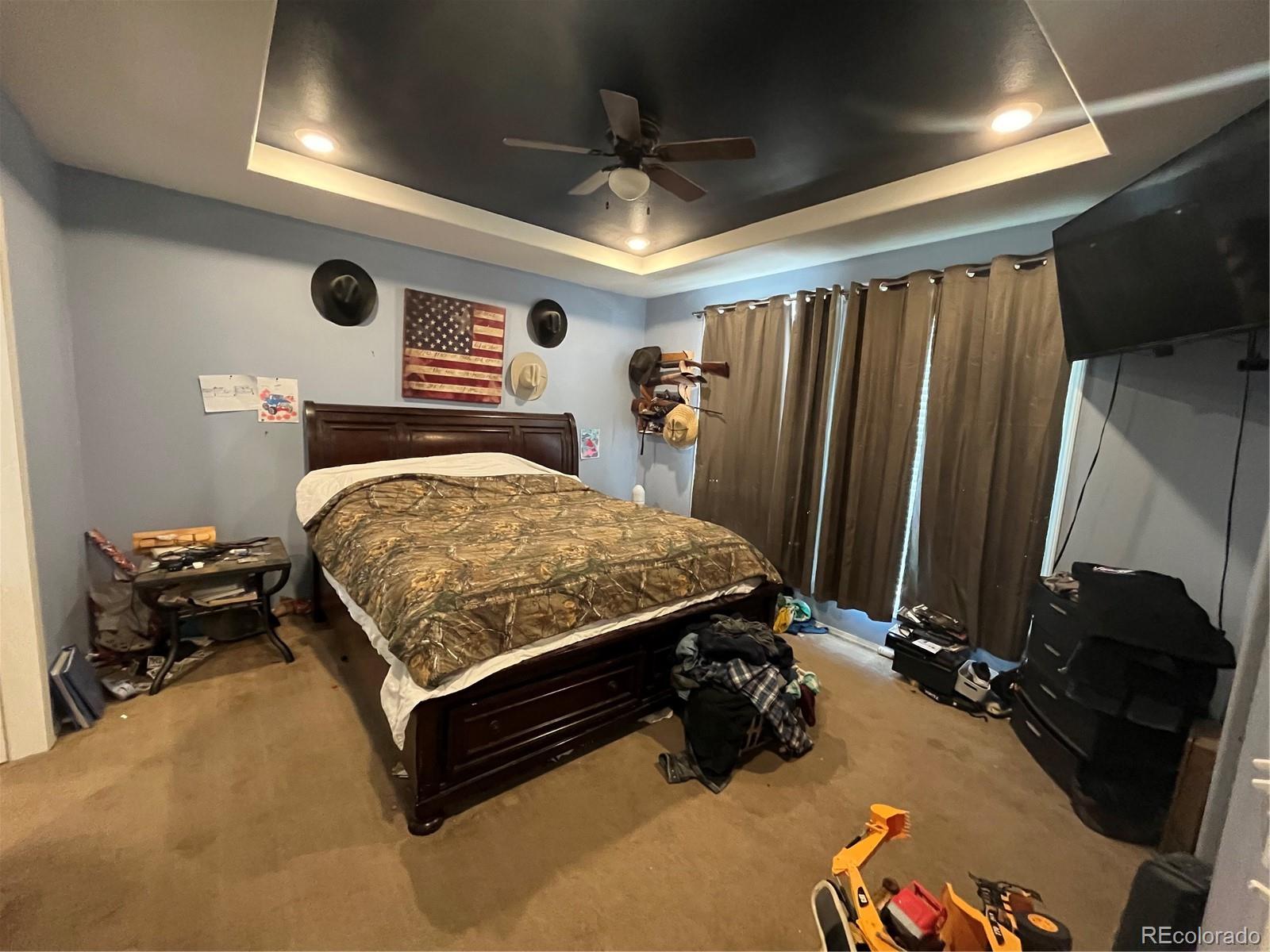 MLS Image #19 for 26768  cactus park road,cedaredge, Colorado