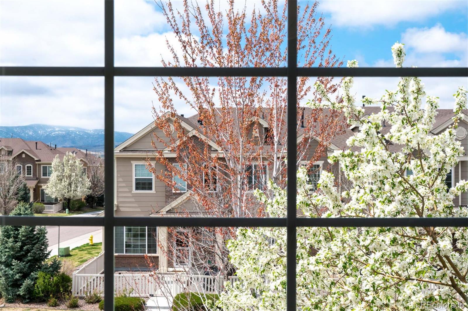 MLS Image #30 for 6378  noble court,arvada, Colorado