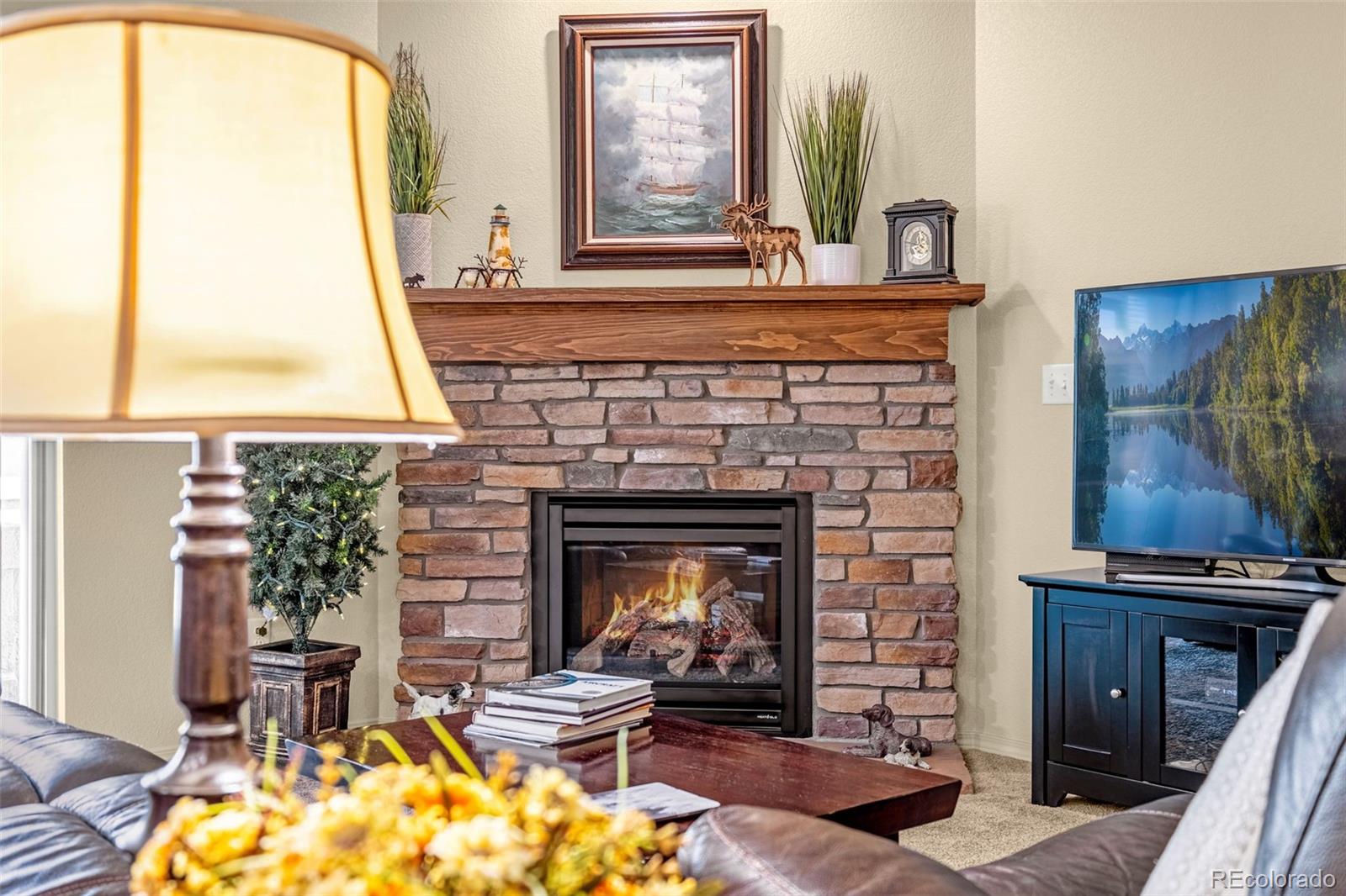 MLS Image #5 for 7674  double barrel heights,colorado springs, Colorado