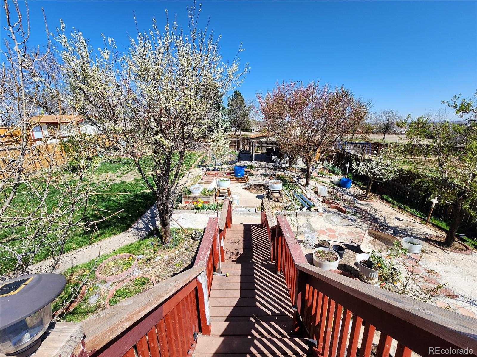 MLS Image #10 for 3341 e 99th way,thornton, Colorado