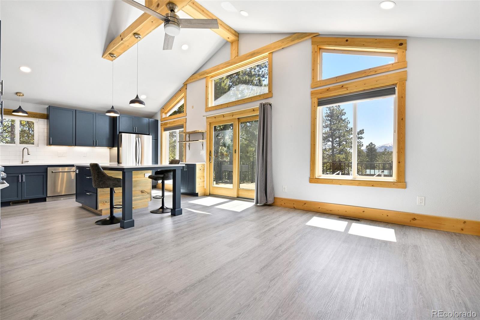 MLS Image #12 for 12  heather circle,divide, Colorado