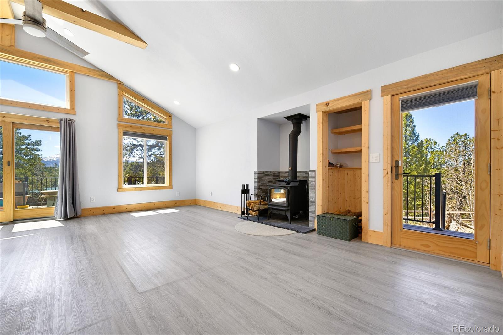 MLS Image #14 for 12  heather circle,divide, Colorado