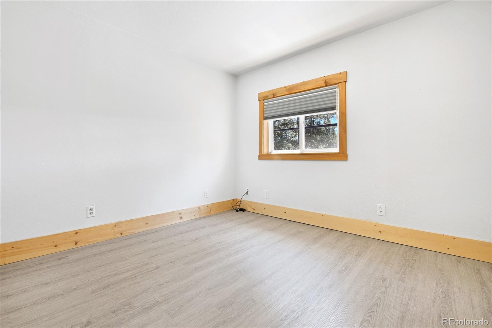 MLS Image #23 for 12  heather circle,divide, Colorado