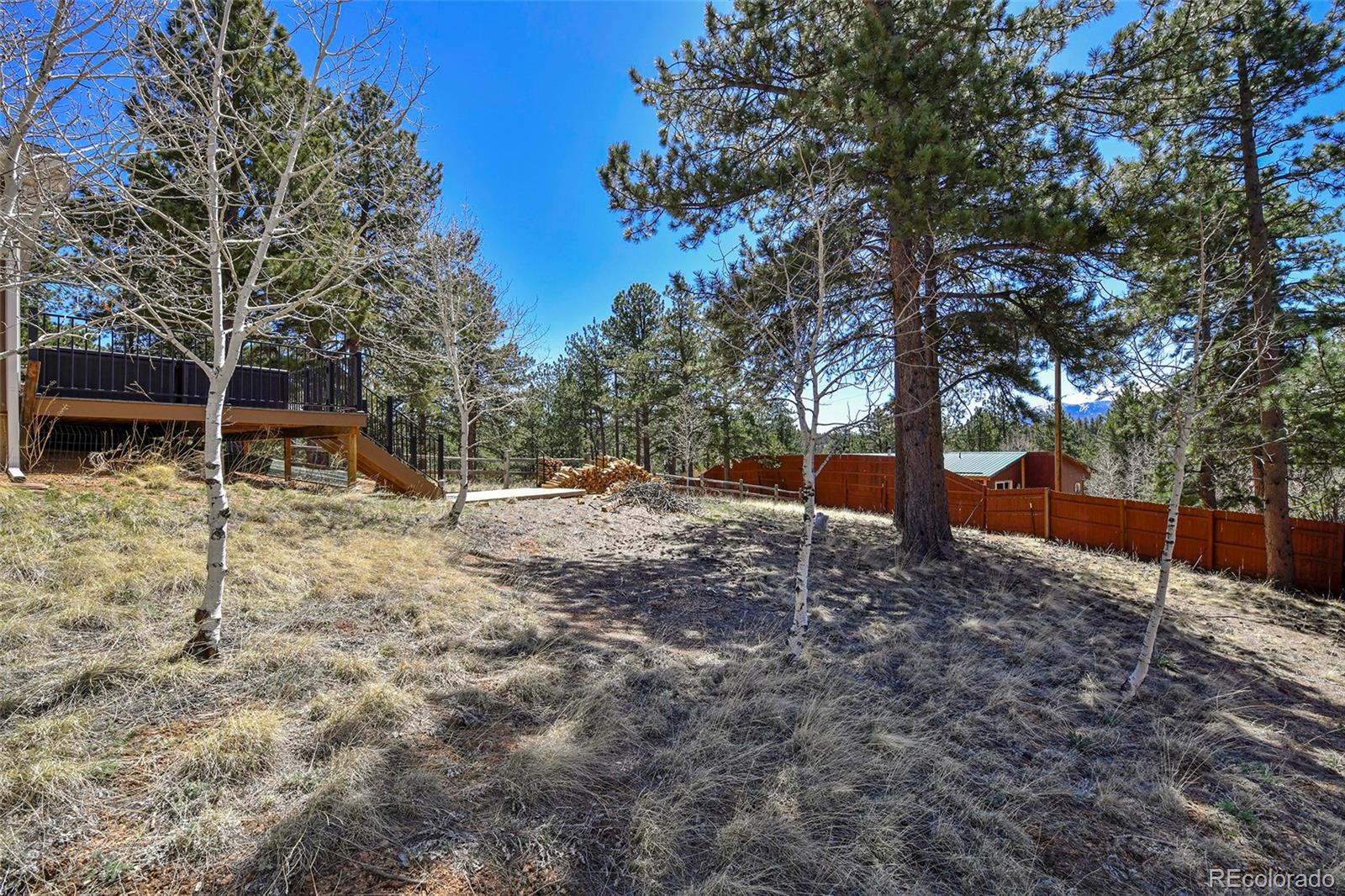 MLS Image #36 for 12  heather circle,divide, Colorado