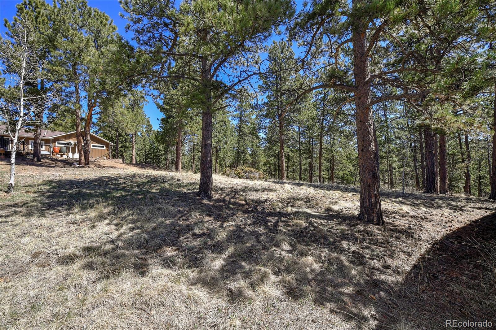 MLS Image #37 for 12  heather circle,divide, Colorado