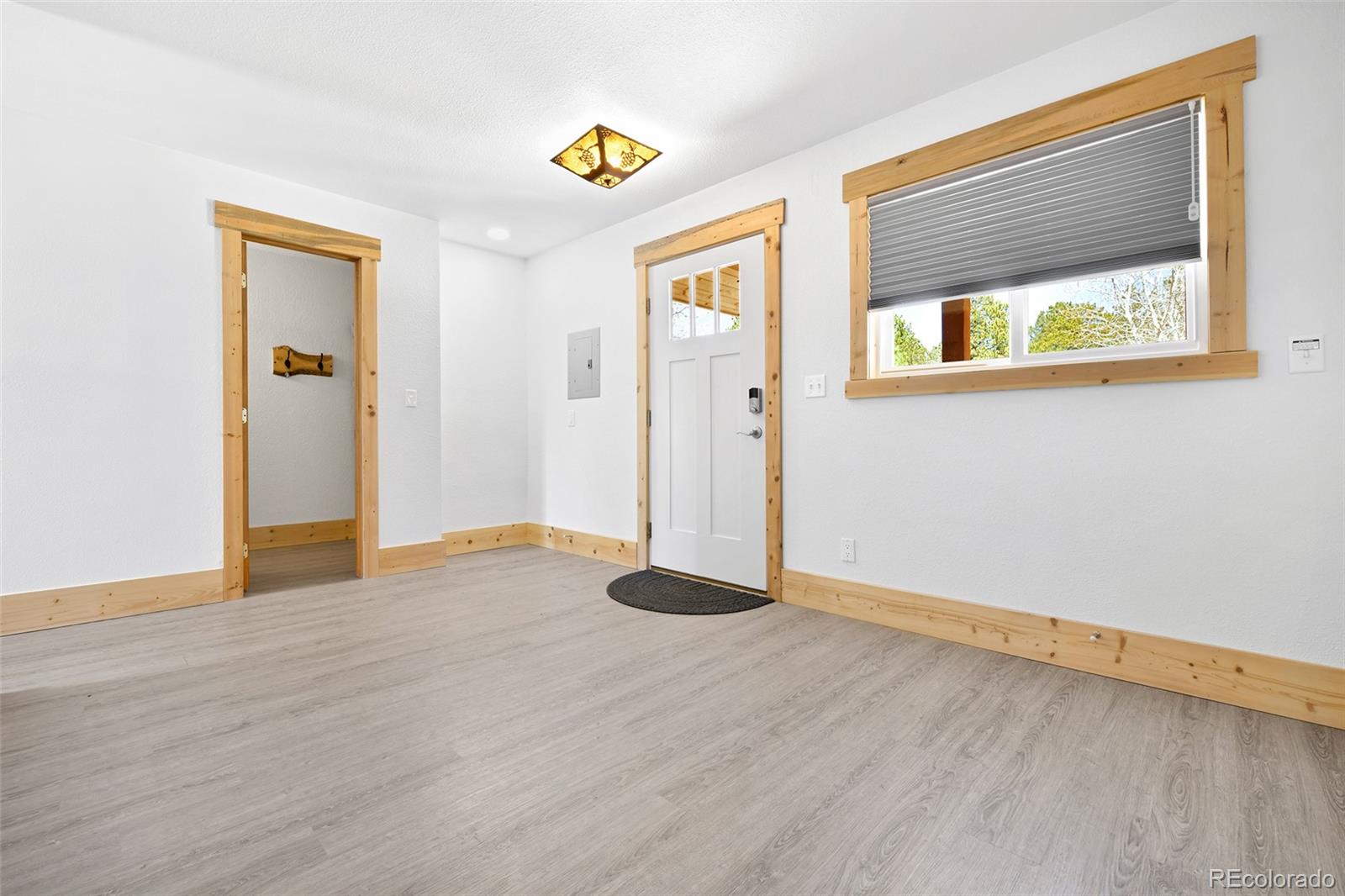 MLS Image #5 for 12  heather circle,divide, Colorado