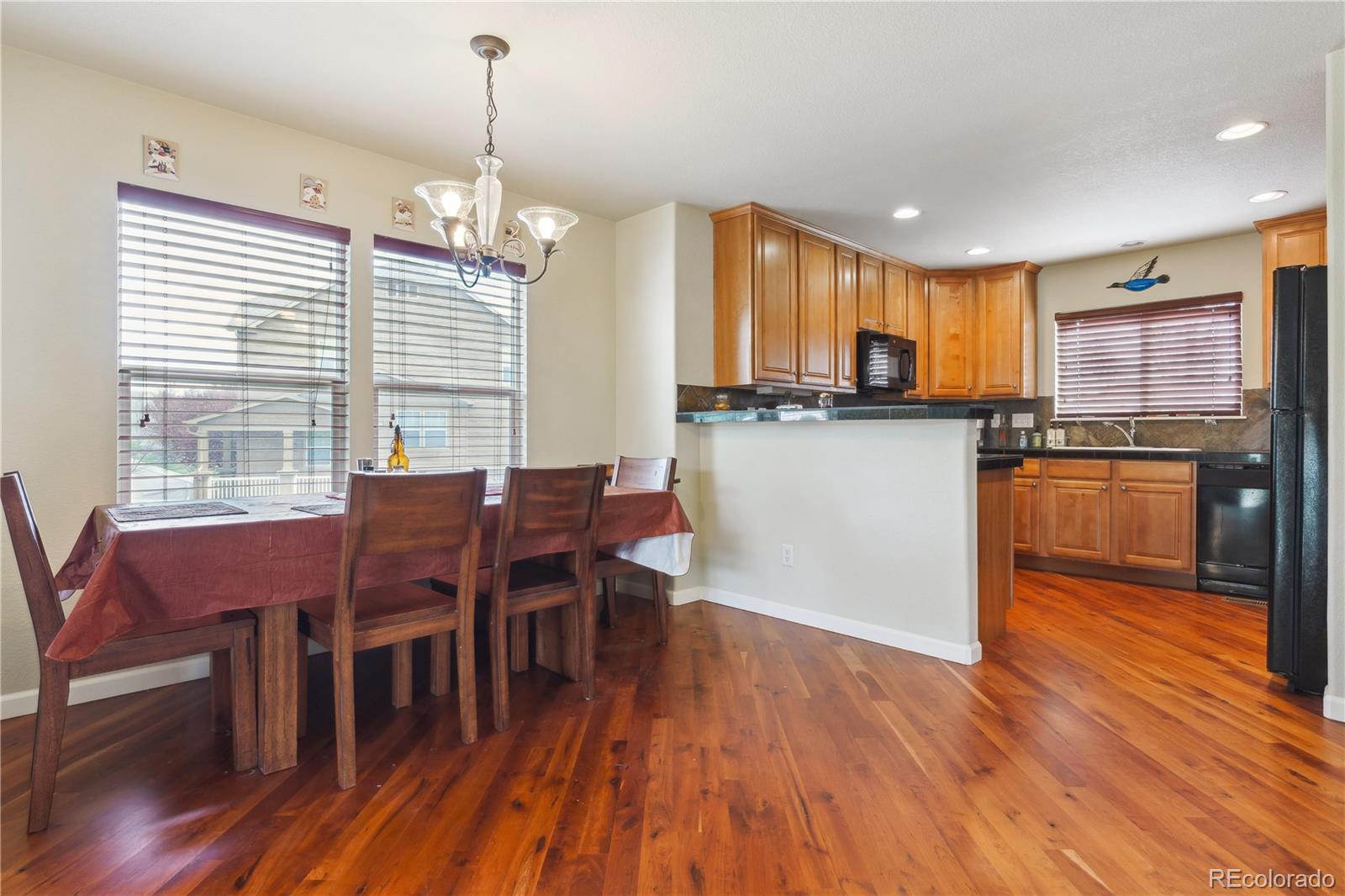 MLS Image #3 for 4061  nordland trail,castle rock, Colorado