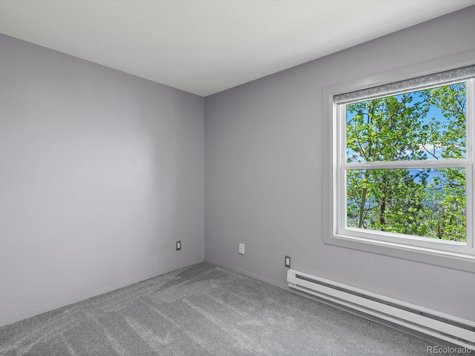 MLS Image #16 for 11650  baca road,conifer, Colorado