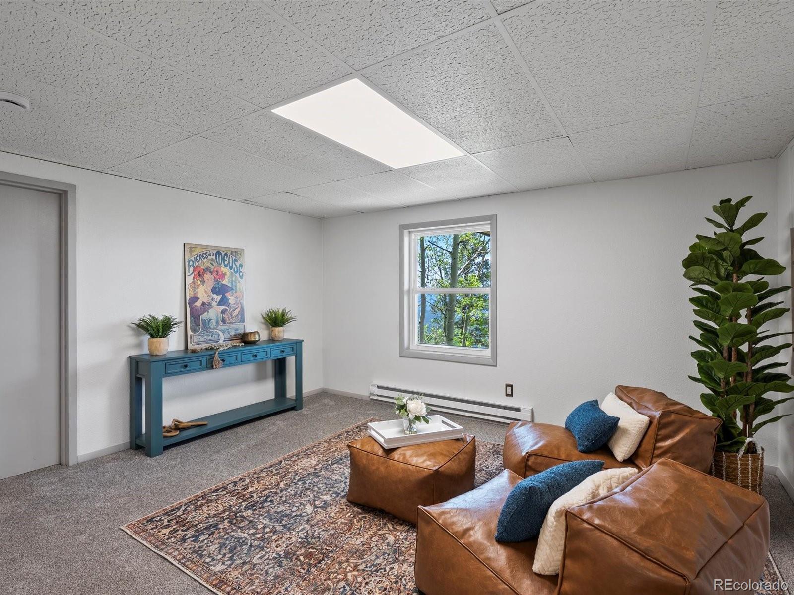 MLS Image #21 for 11650  baca road,conifer, Colorado