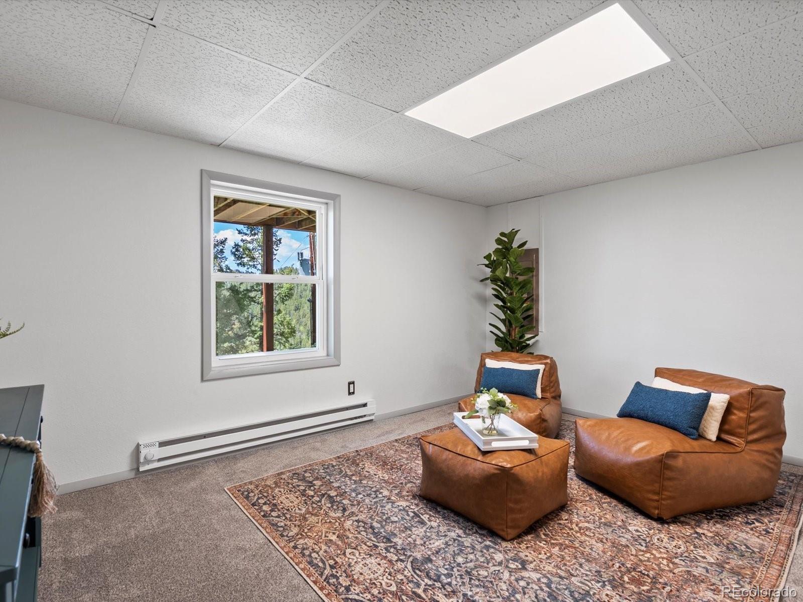 MLS Image #22 for 11650  baca road,conifer, Colorado