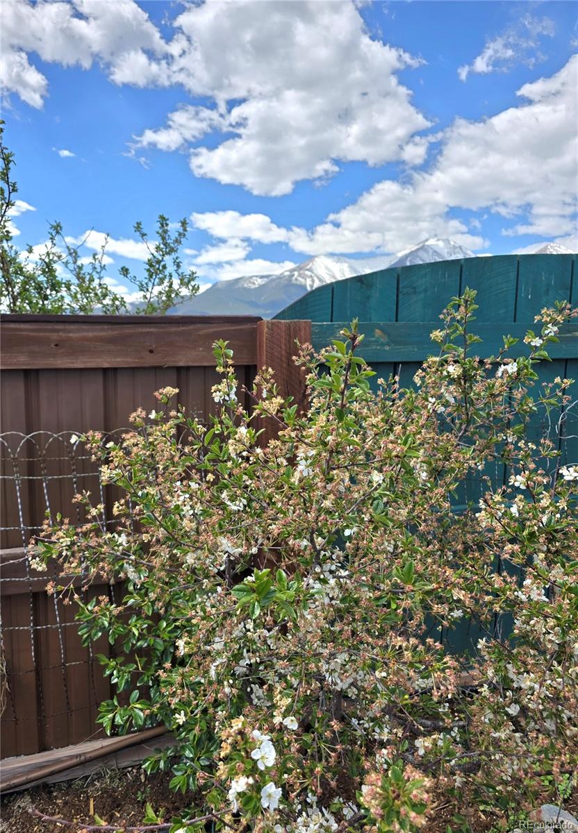MLS Image #46 for 15100  county road 328 ,buena vista, Colorado