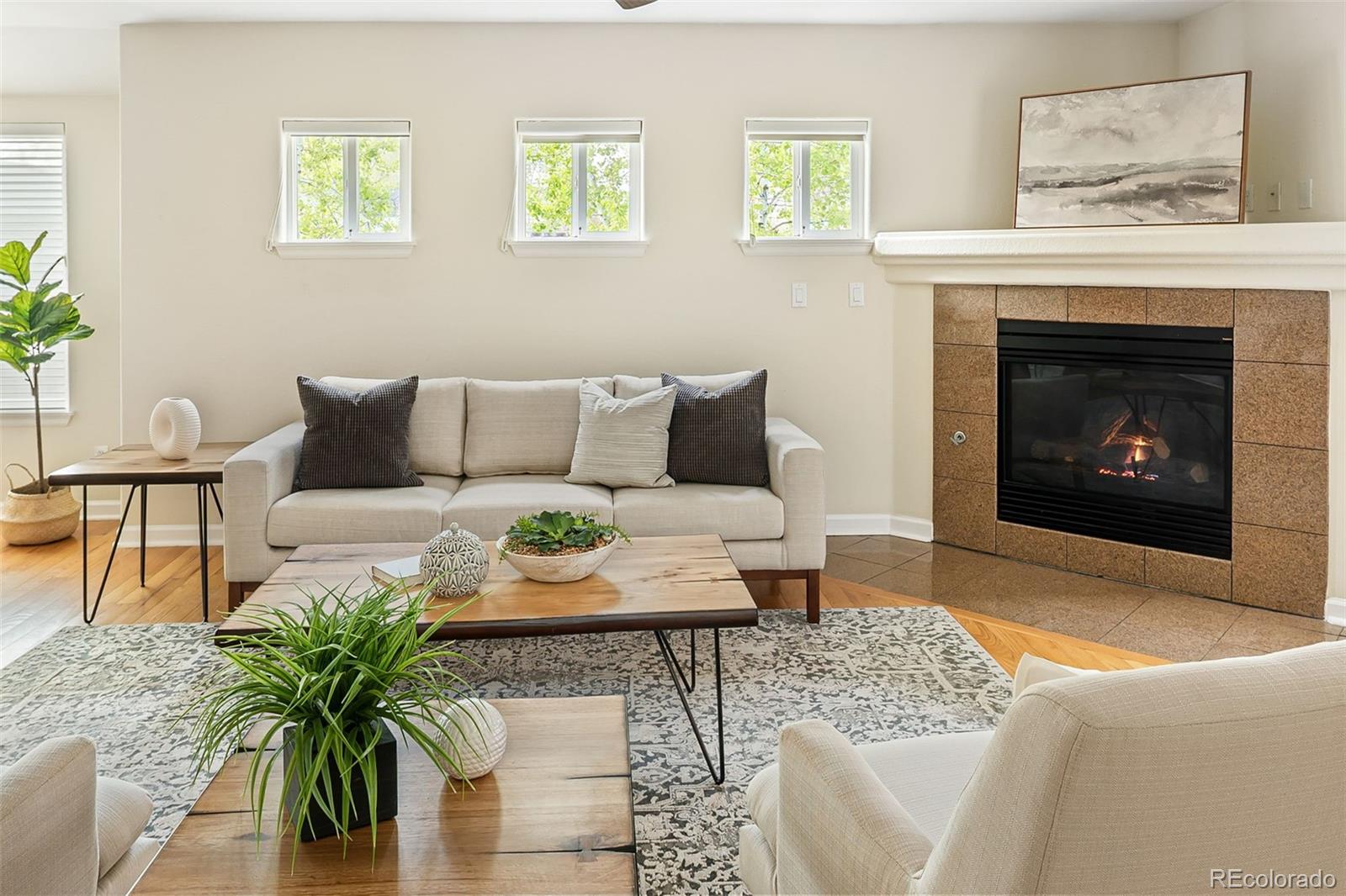 MLS Image #8 for 2434 s williams street,denver, Colorado