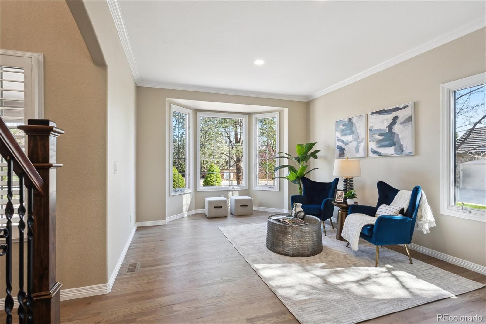 MLS Image #13 for 3970  white bay drive,highlands ranch, Colorado