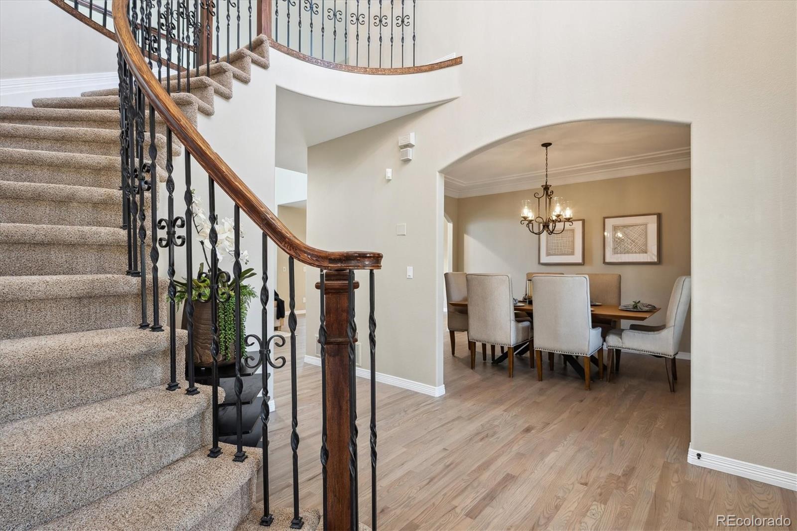 MLS Image #2 for 3970  white bay drive,highlands ranch, Colorado