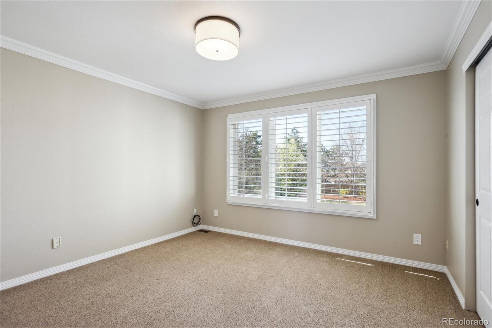 MLS Image #26 for 3970  white bay drive,highlands ranch, Colorado