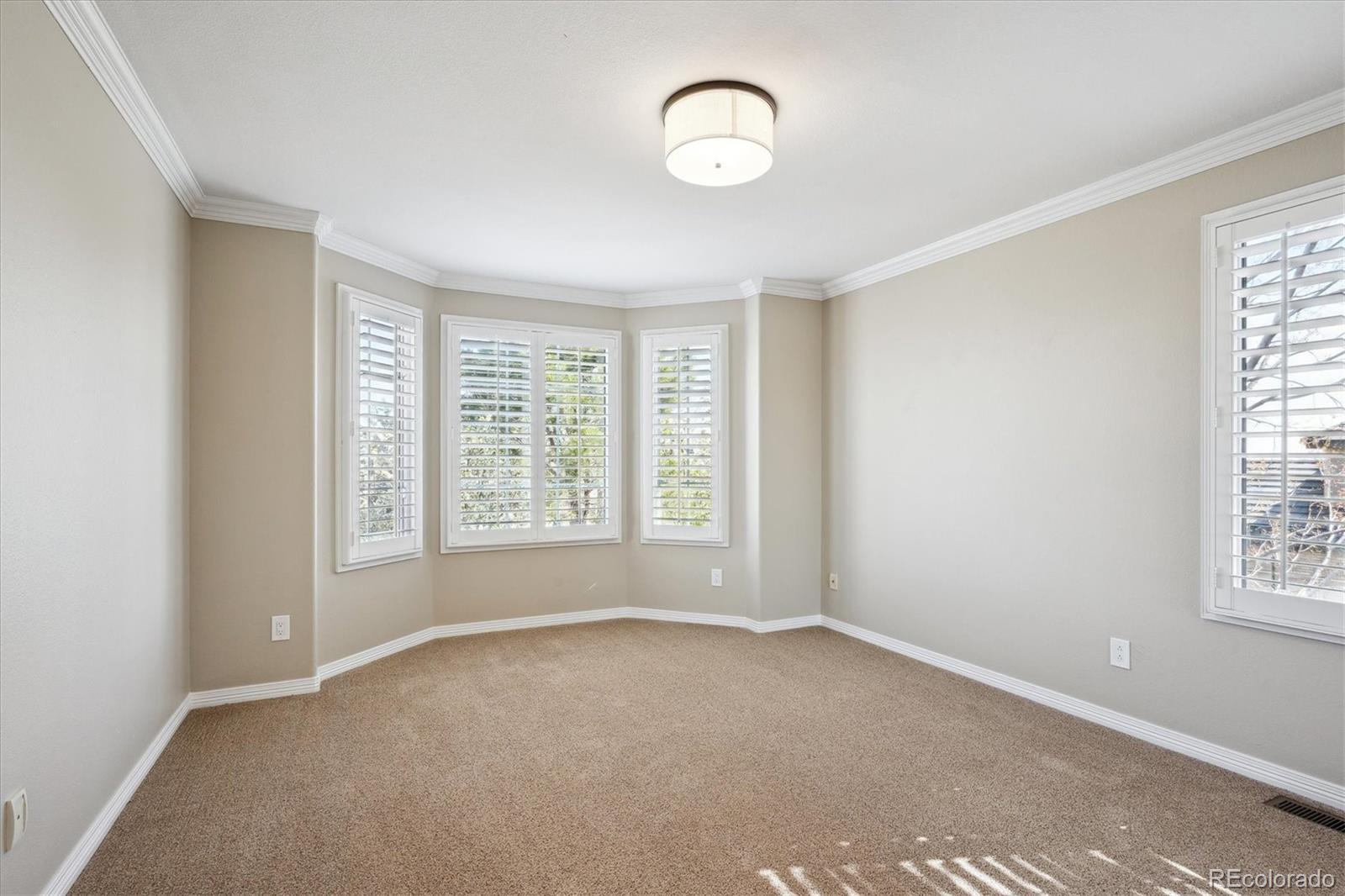 MLS Image #28 for 3970  white bay drive,highlands ranch, Colorado
