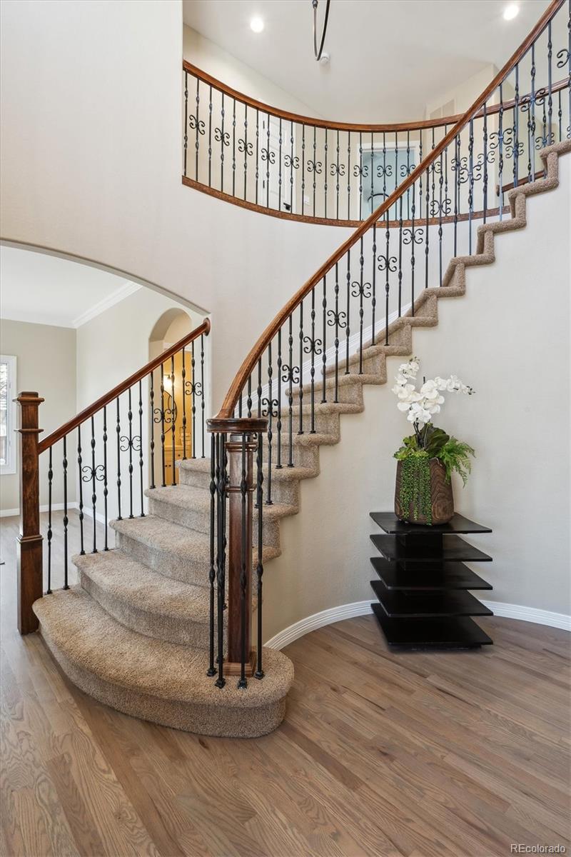 MLS Image #3 for 3970  white bay drive,highlands ranch, Colorado