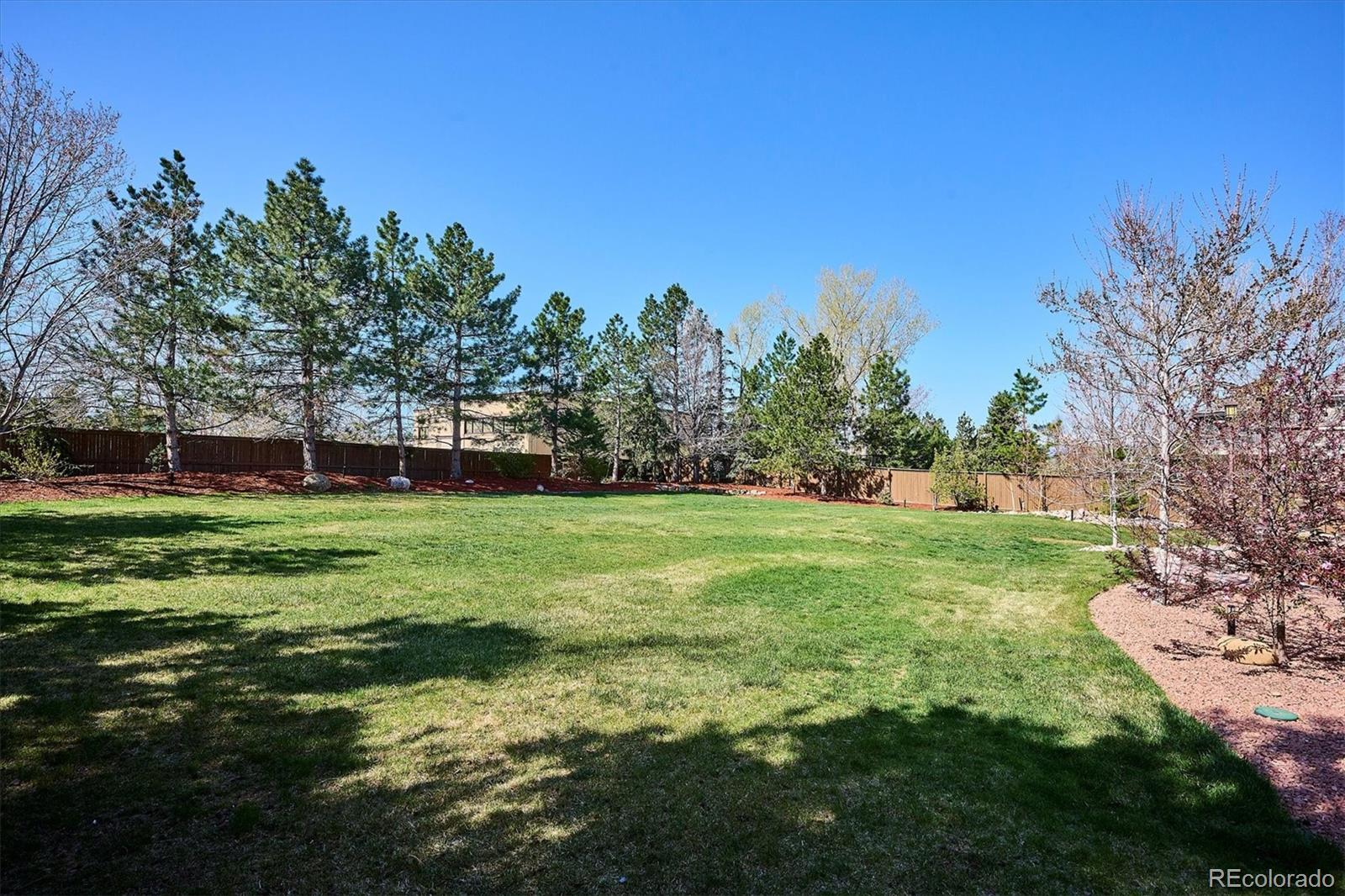 MLS Image #44 for 3970  white bay drive,highlands ranch, Colorado