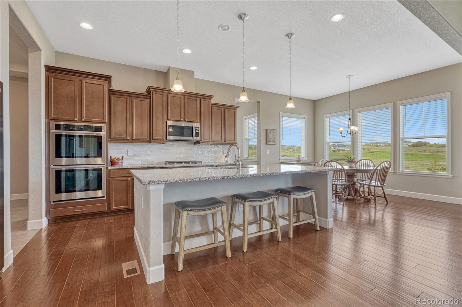 MLS Image #11 for 9727  red primrose street,franktown, Colorado