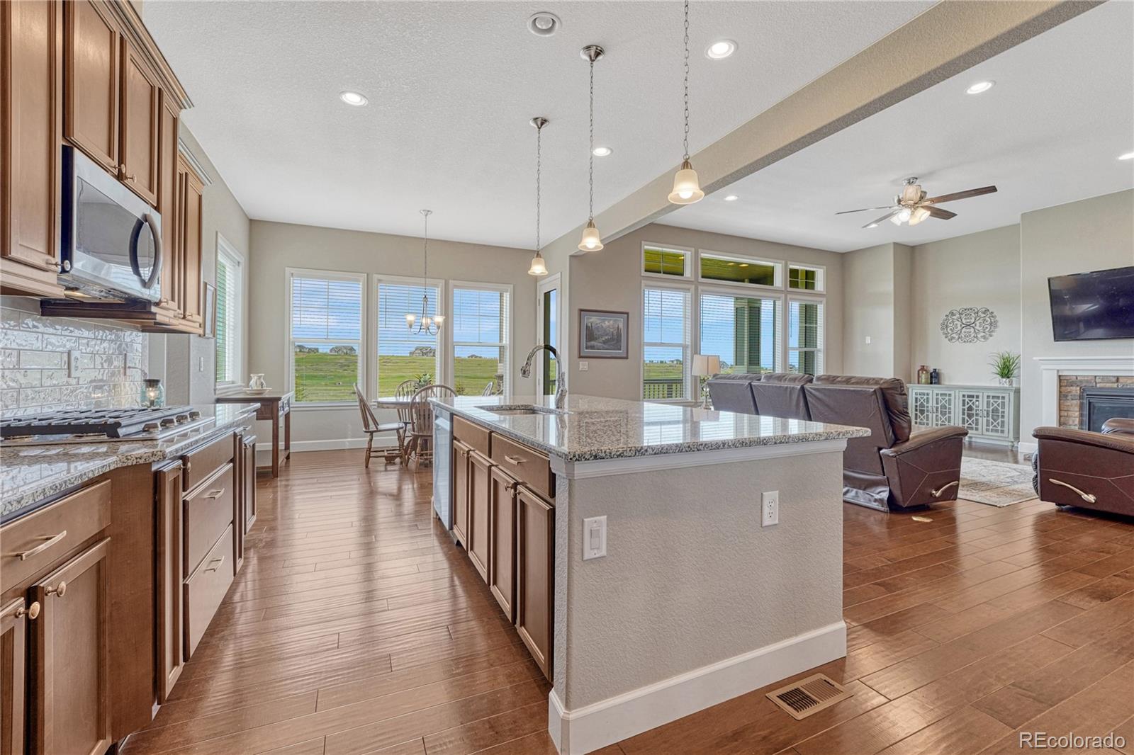 MLS Image #14 for 9727  red primrose street,franktown, Colorado
