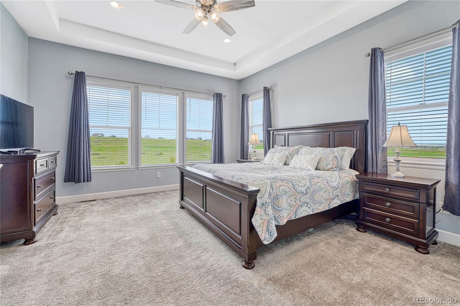 MLS Image #18 for 9727  red primrose street,franktown, Colorado
