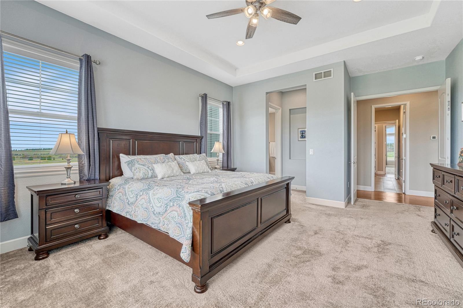 MLS Image #19 for 9727  red primrose street,franktown, Colorado