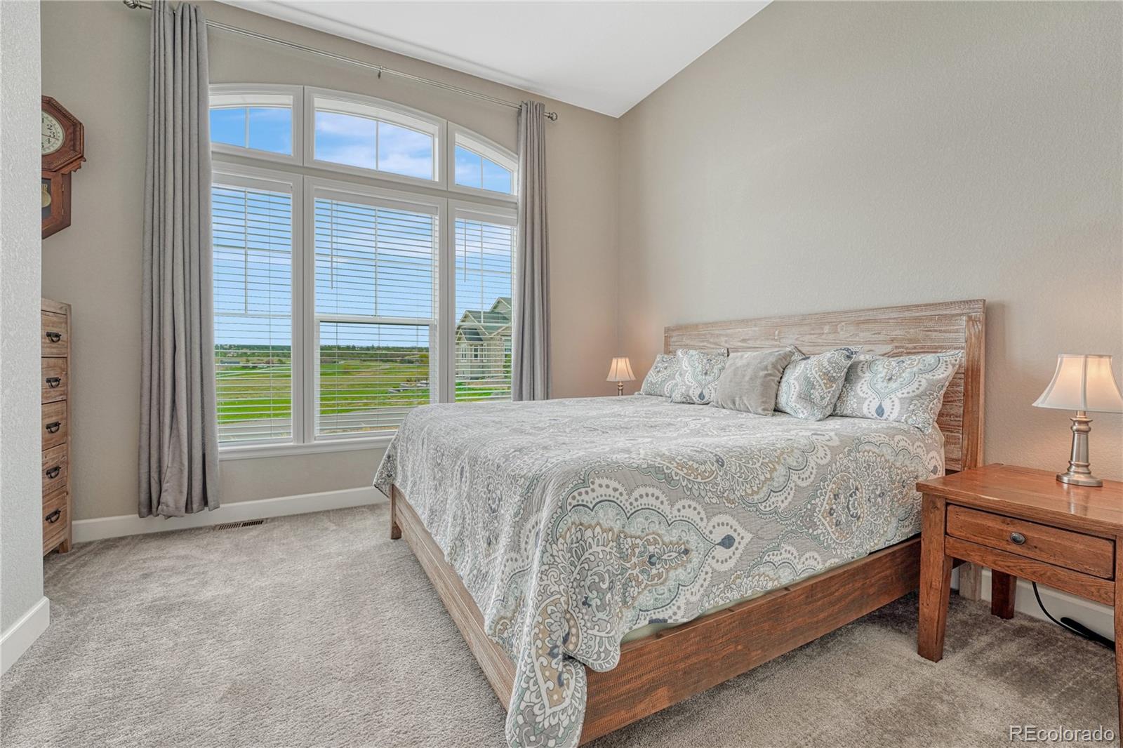 MLS Image #26 for 9727  red primrose street,franktown, Colorado