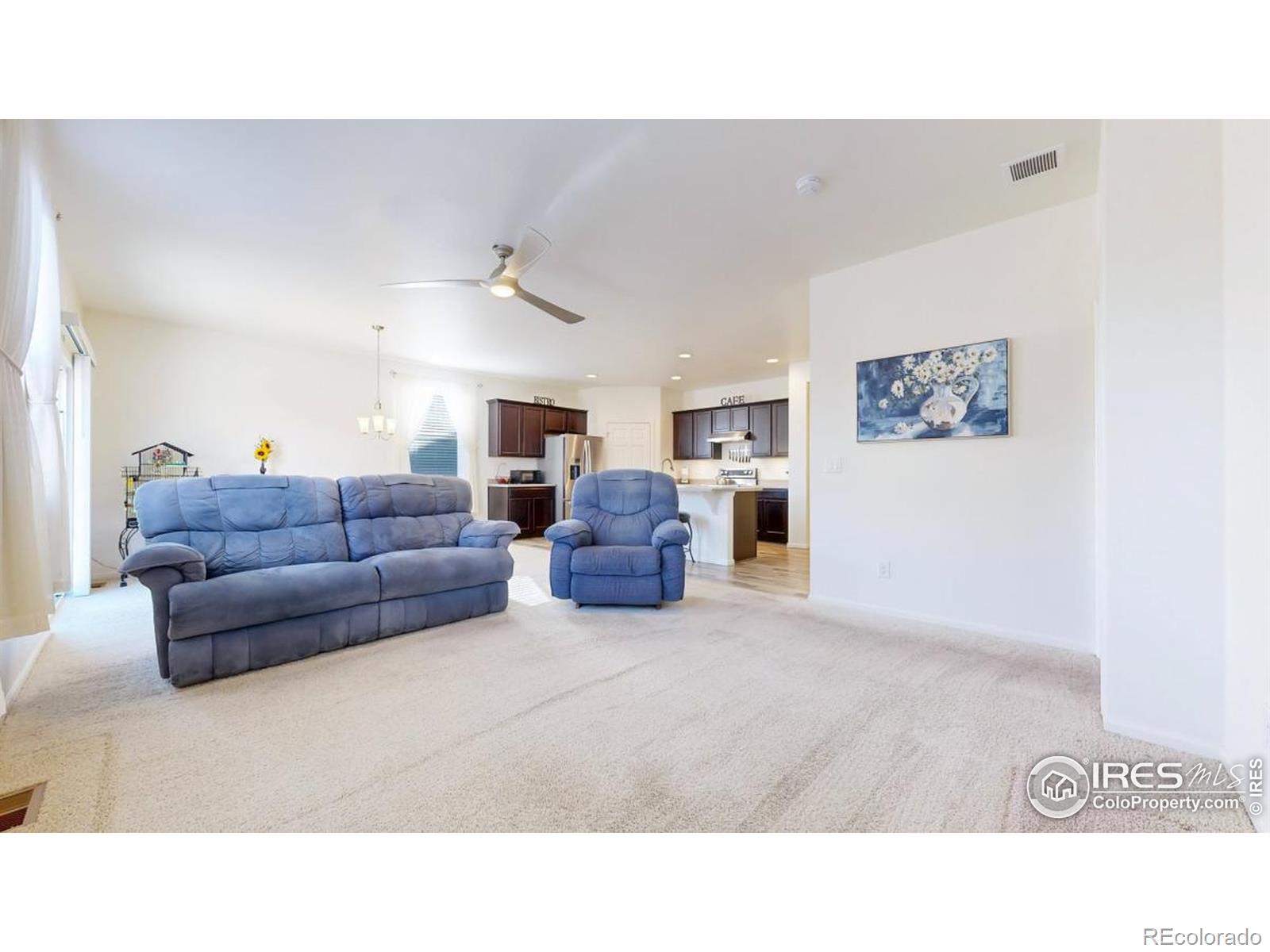 MLS Image #8 for 3712  daylily street,wellington, Colorado
