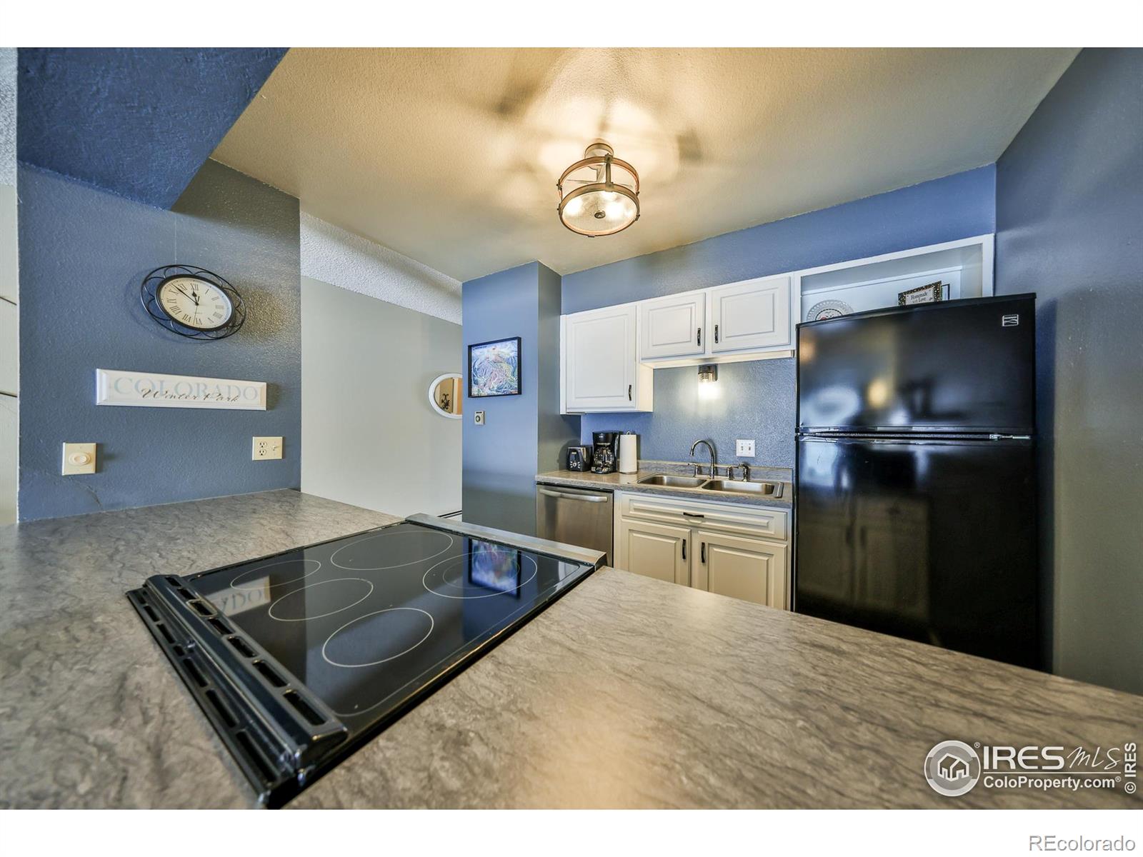 MLS Image #10 for 832  gcr 382 ,fraser, Colorado