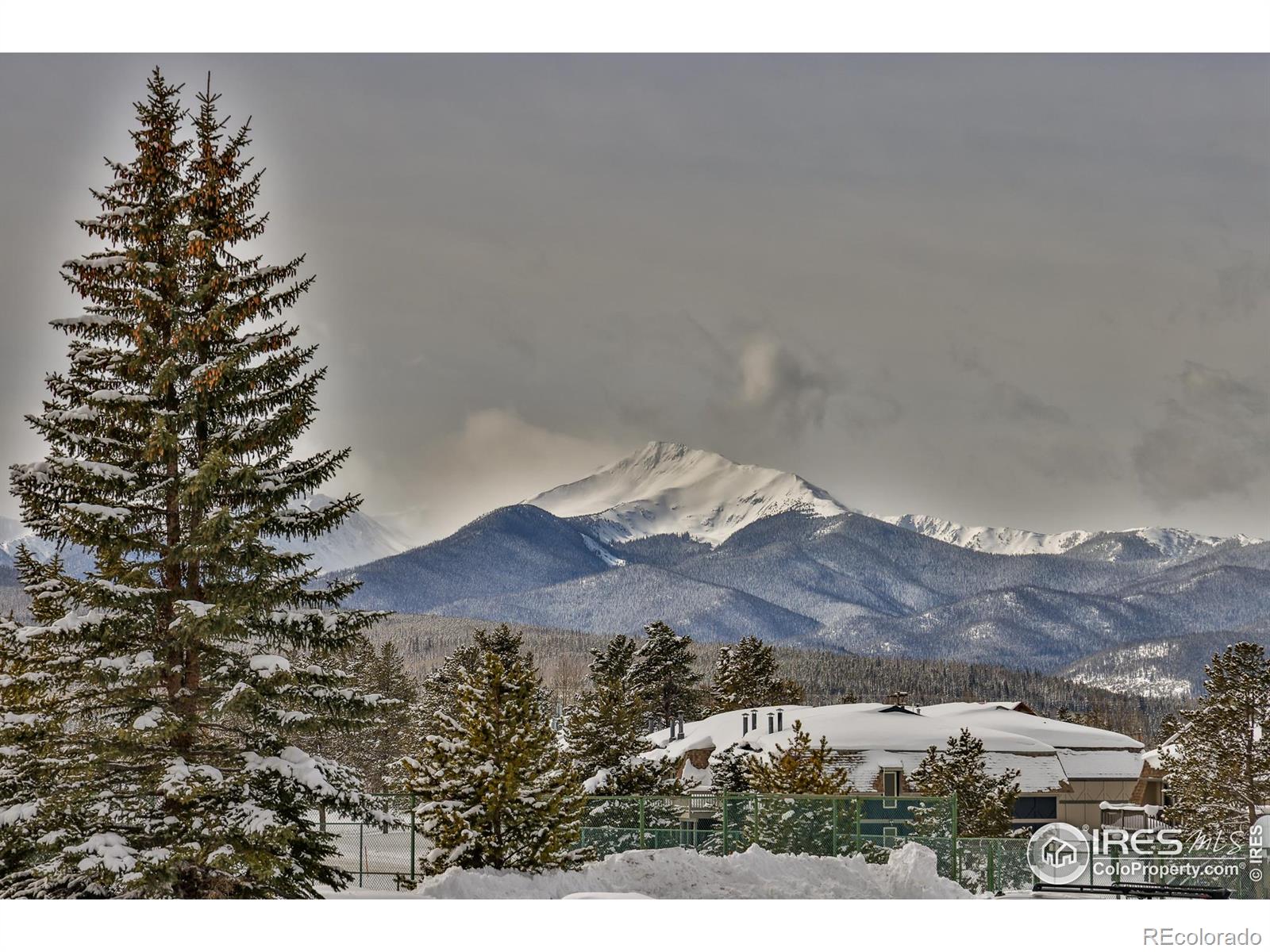 MLS Image #20 for 832  gcr 382 ,fraser, Colorado