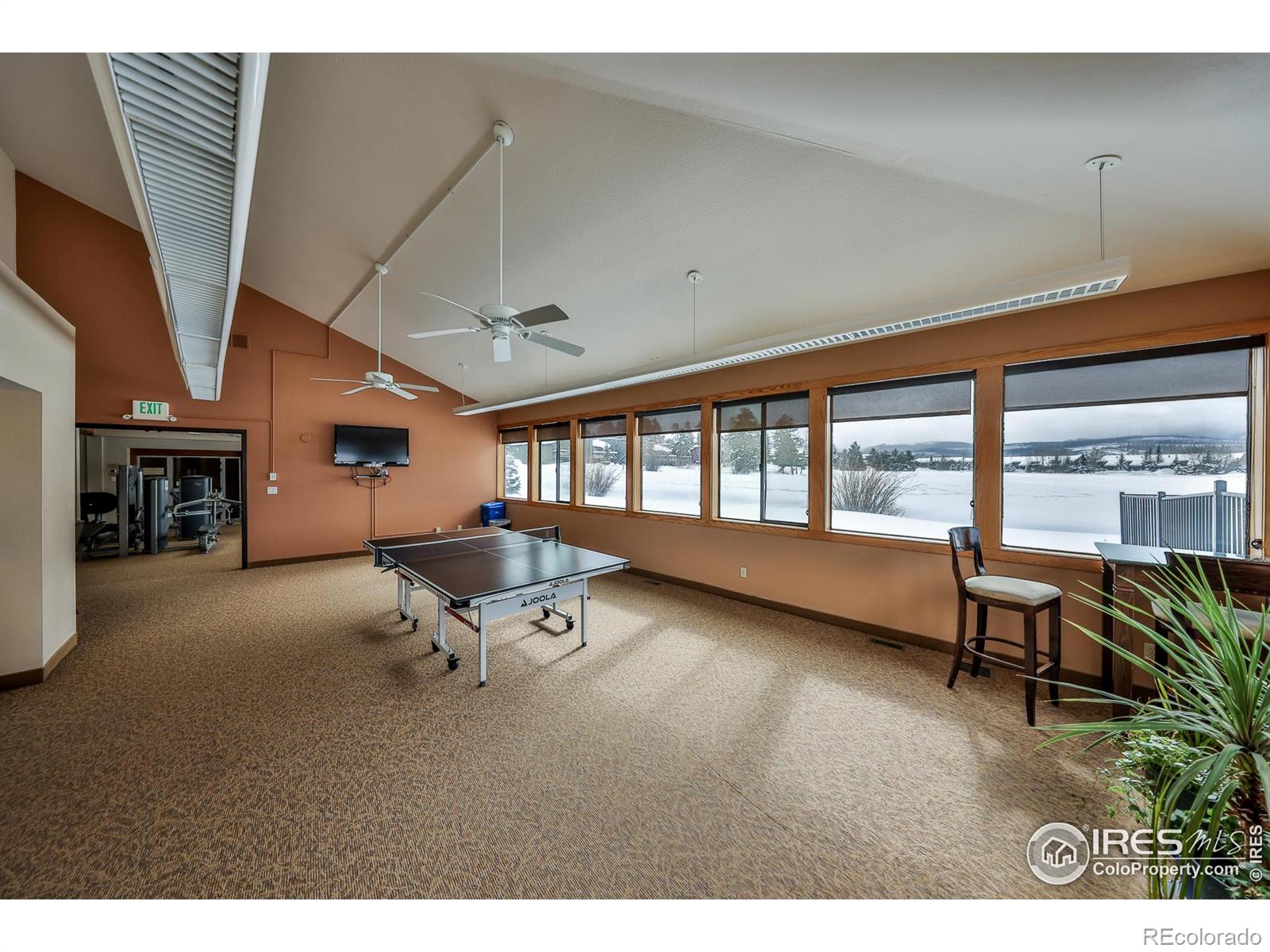 MLS Image #25 for 832  gcr 382 ,fraser, Colorado