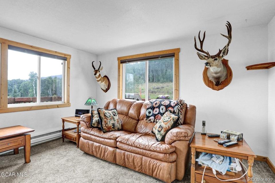 MLS Image #11 for 153  gcr 135 ,kremmling, Colorado