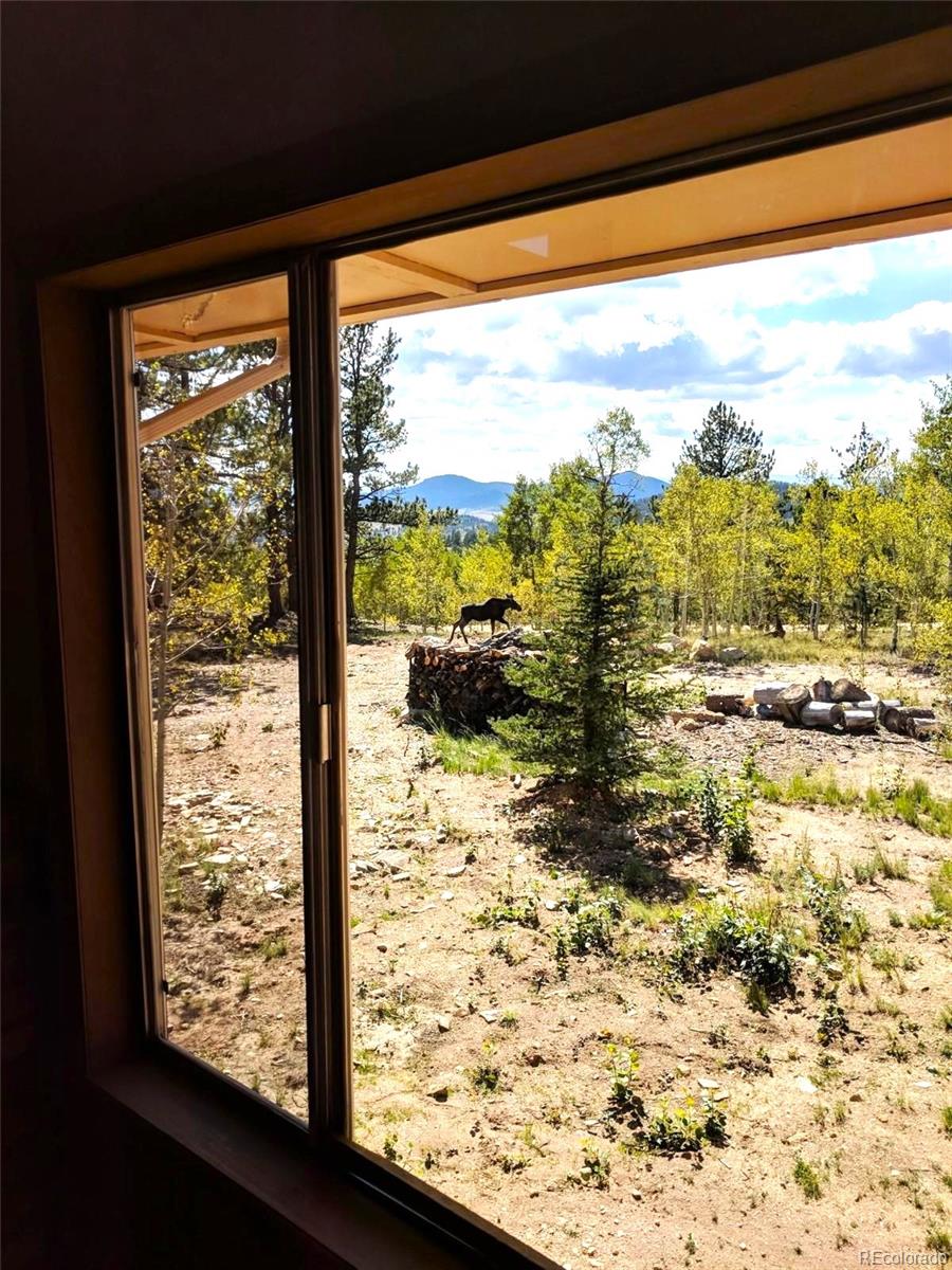 MLS Image #12 for 456  spade place,jefferson, Colorado