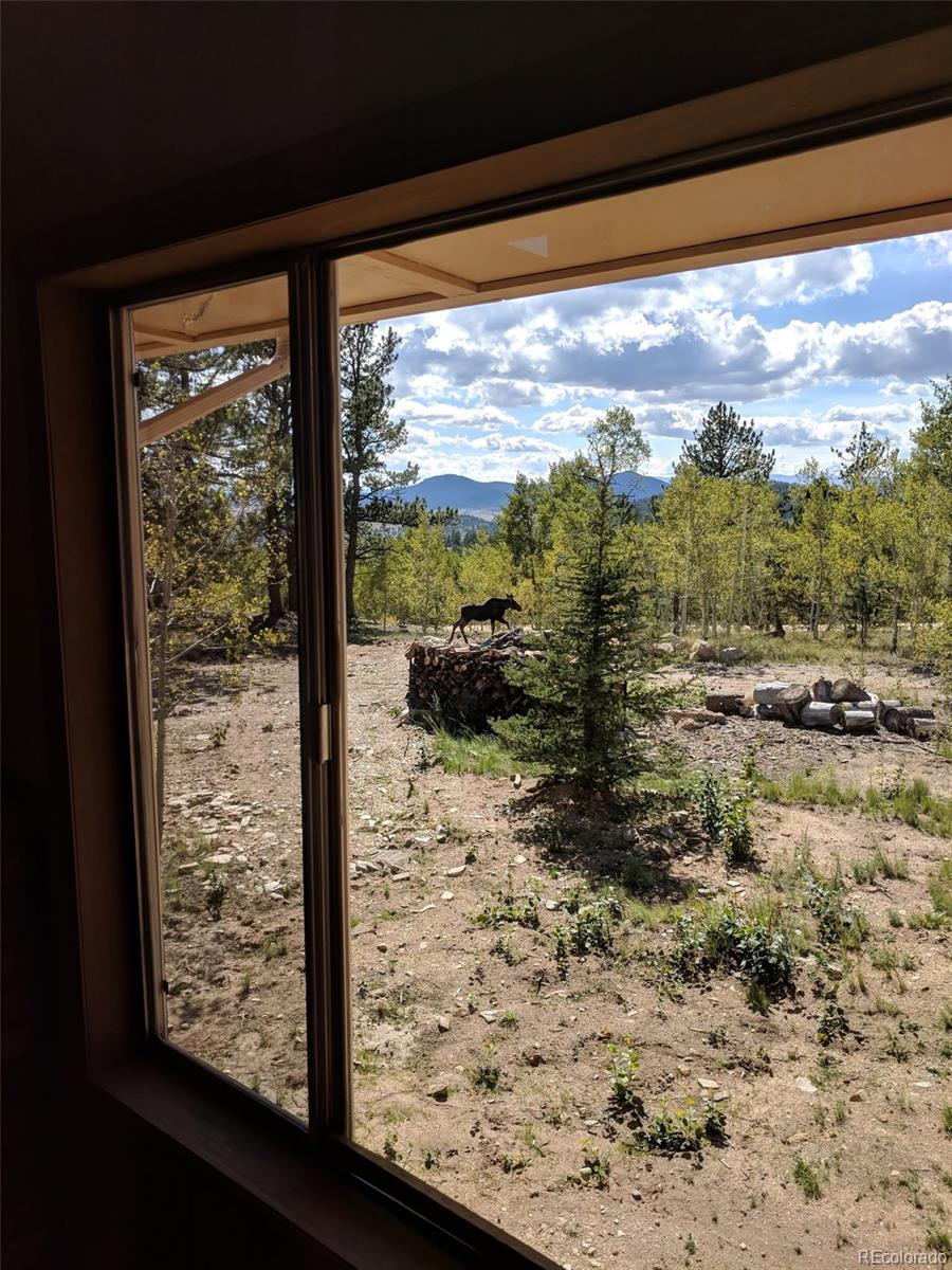 MLS Image #19 for 456  spade place,jefferson, Colorado
