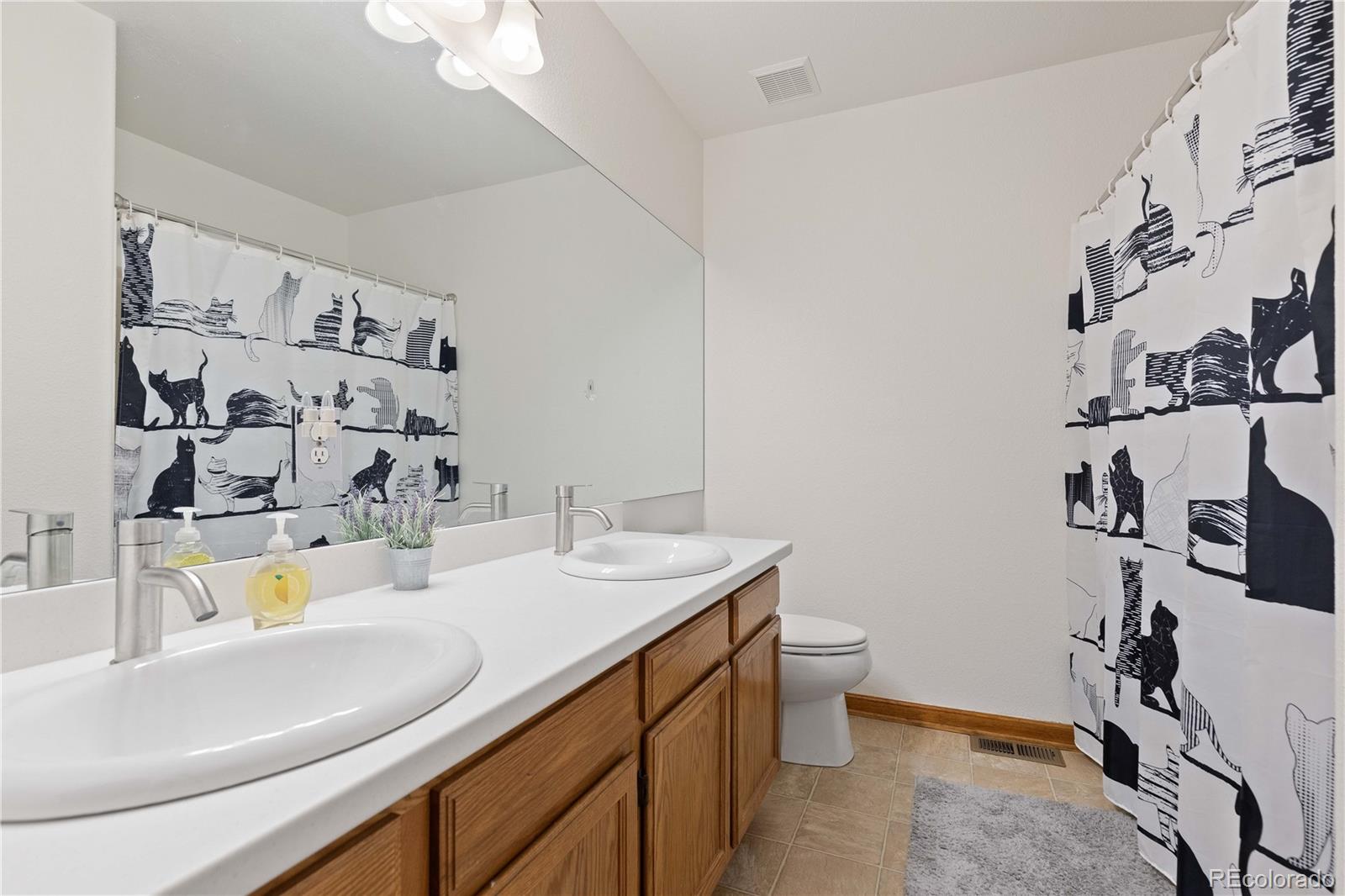 MLS Image #24 for 10789 w vista view drive,littleton, Colorado