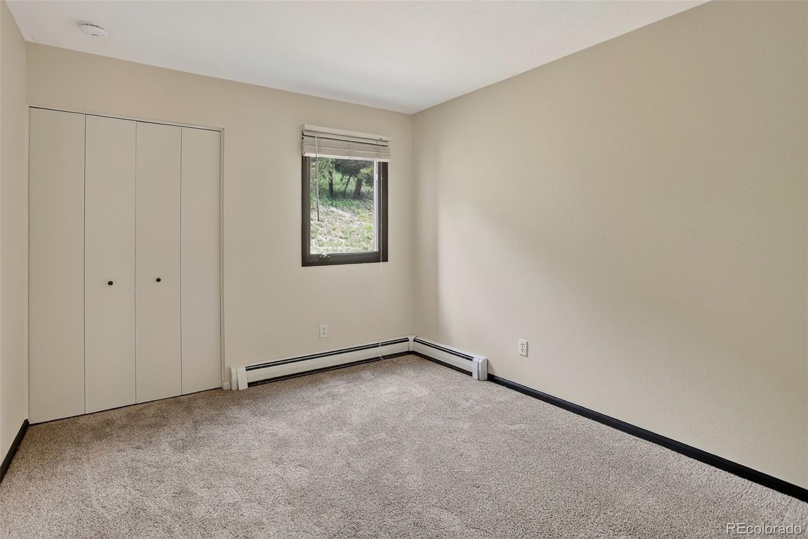 MLS Image #14 for 723  snyder mountain road,evergreen, Colorado