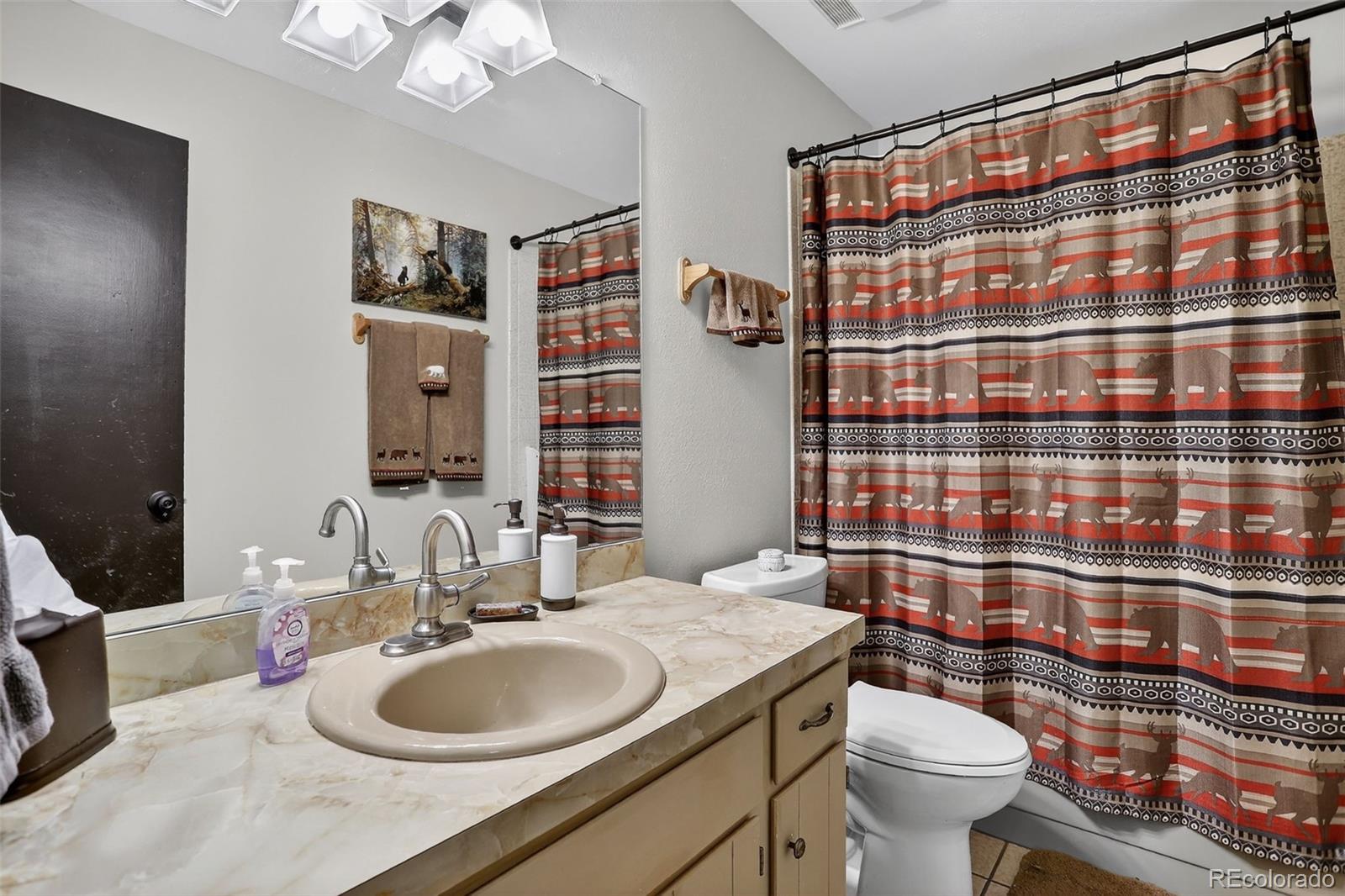 MLS Image #16 for 723  snyder mountain road,evergreen, Colorado