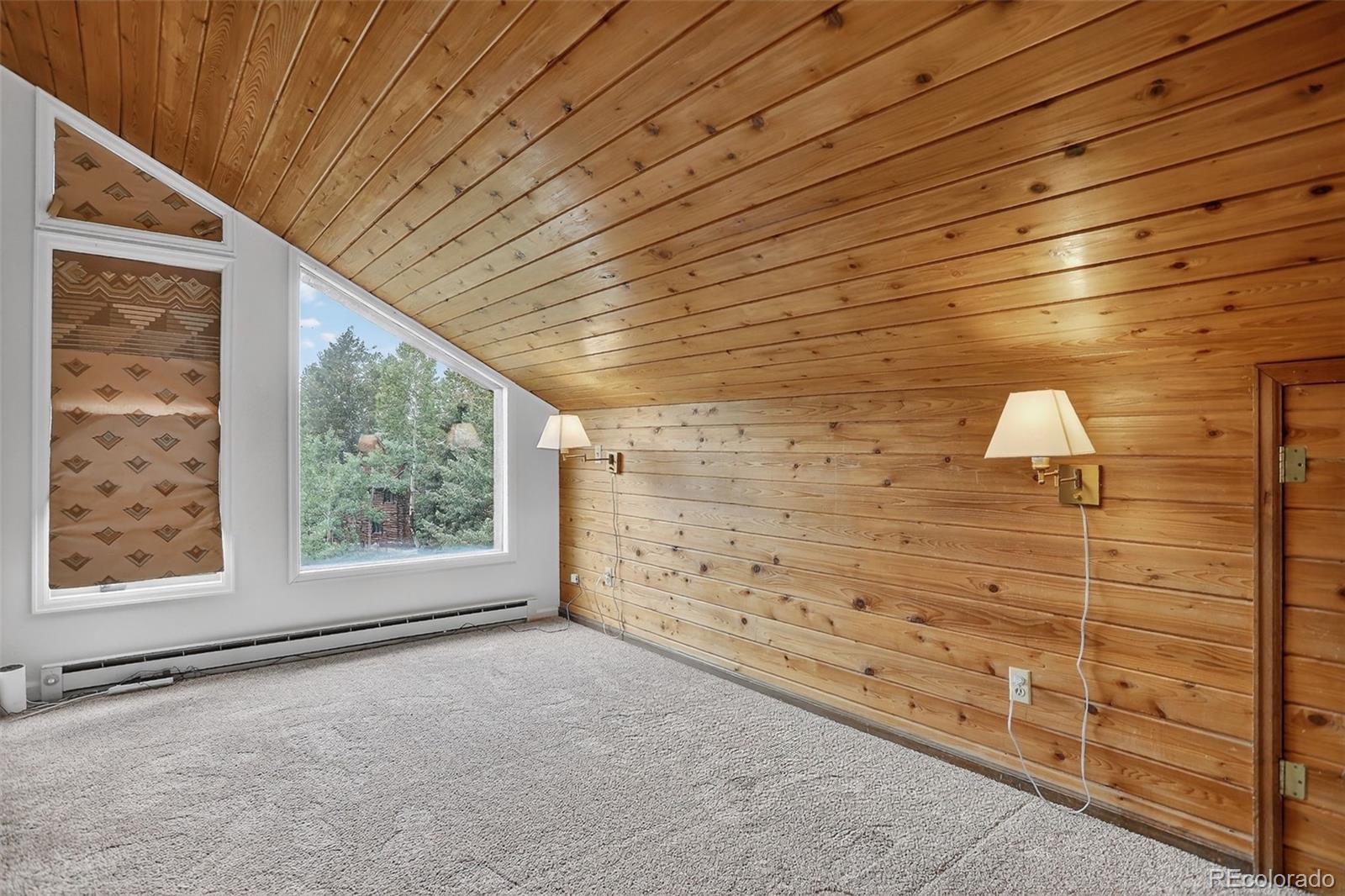 MLS Image #17 for 723  snyder mountain road,evergreen, Colorado