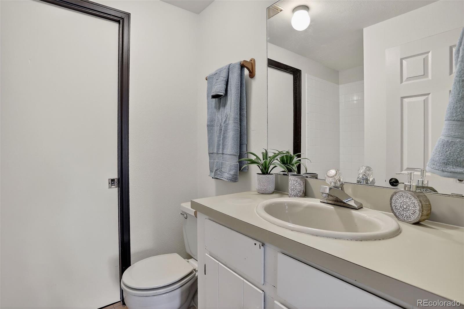 MLS Image #20 for 723  snyder mountain road,evergreen, Colorado