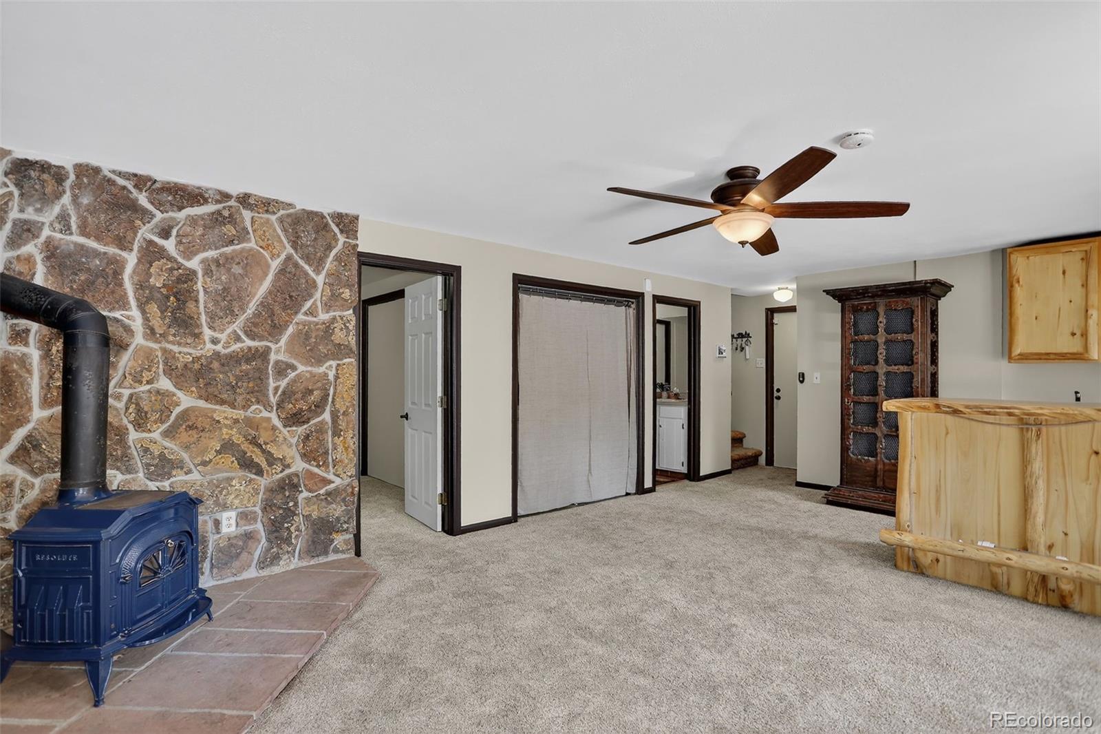 MLS Image #25 for 723  snyder mountain road,evergreen, Colorado