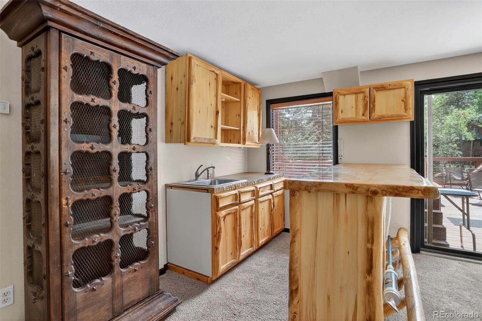 MLS Image #26 for 723  snyder mountain road,evergreen, Colorado