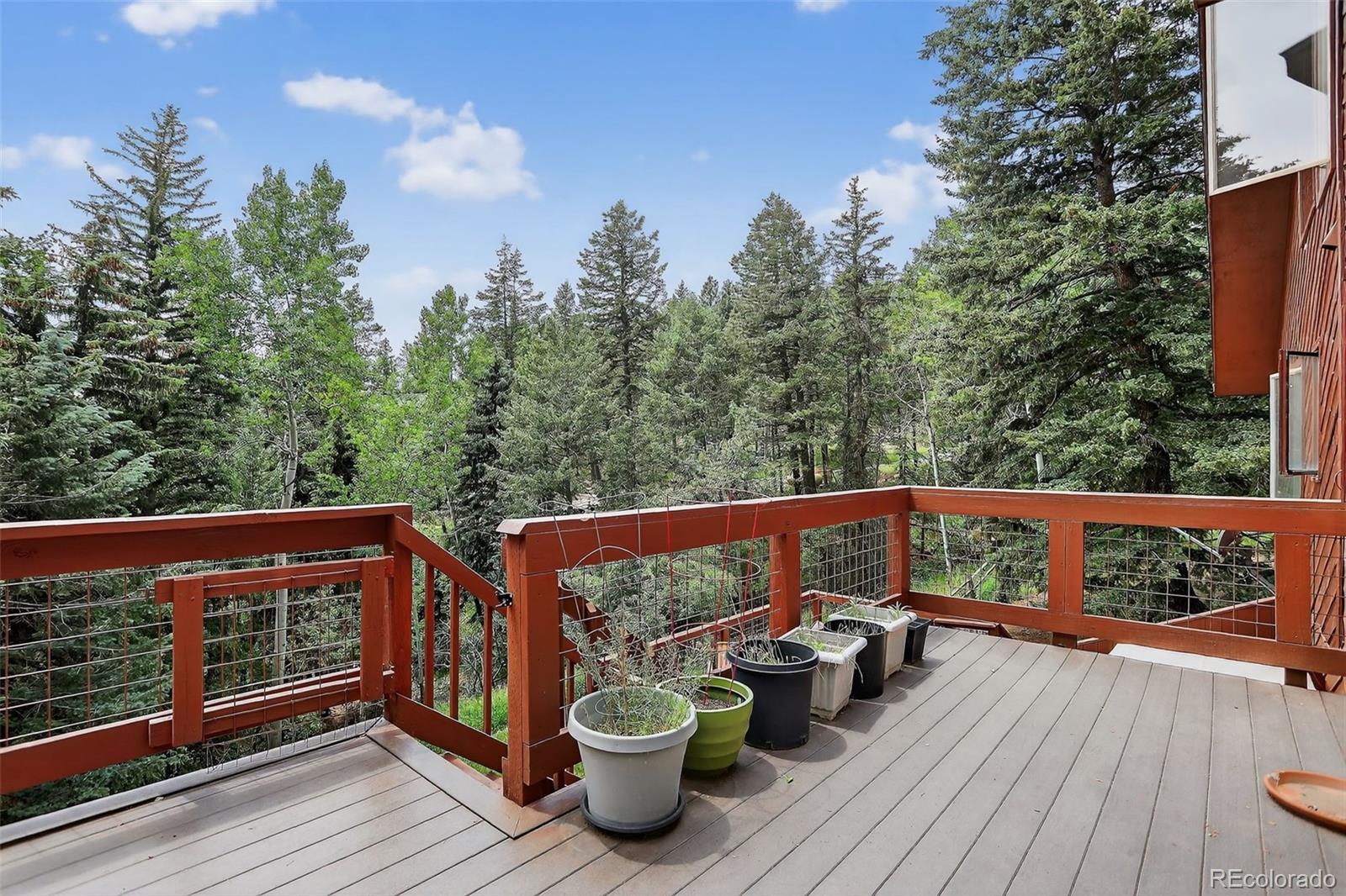 MLS Image #34 for 723  snyder mountain road,evergreen, Colorado
