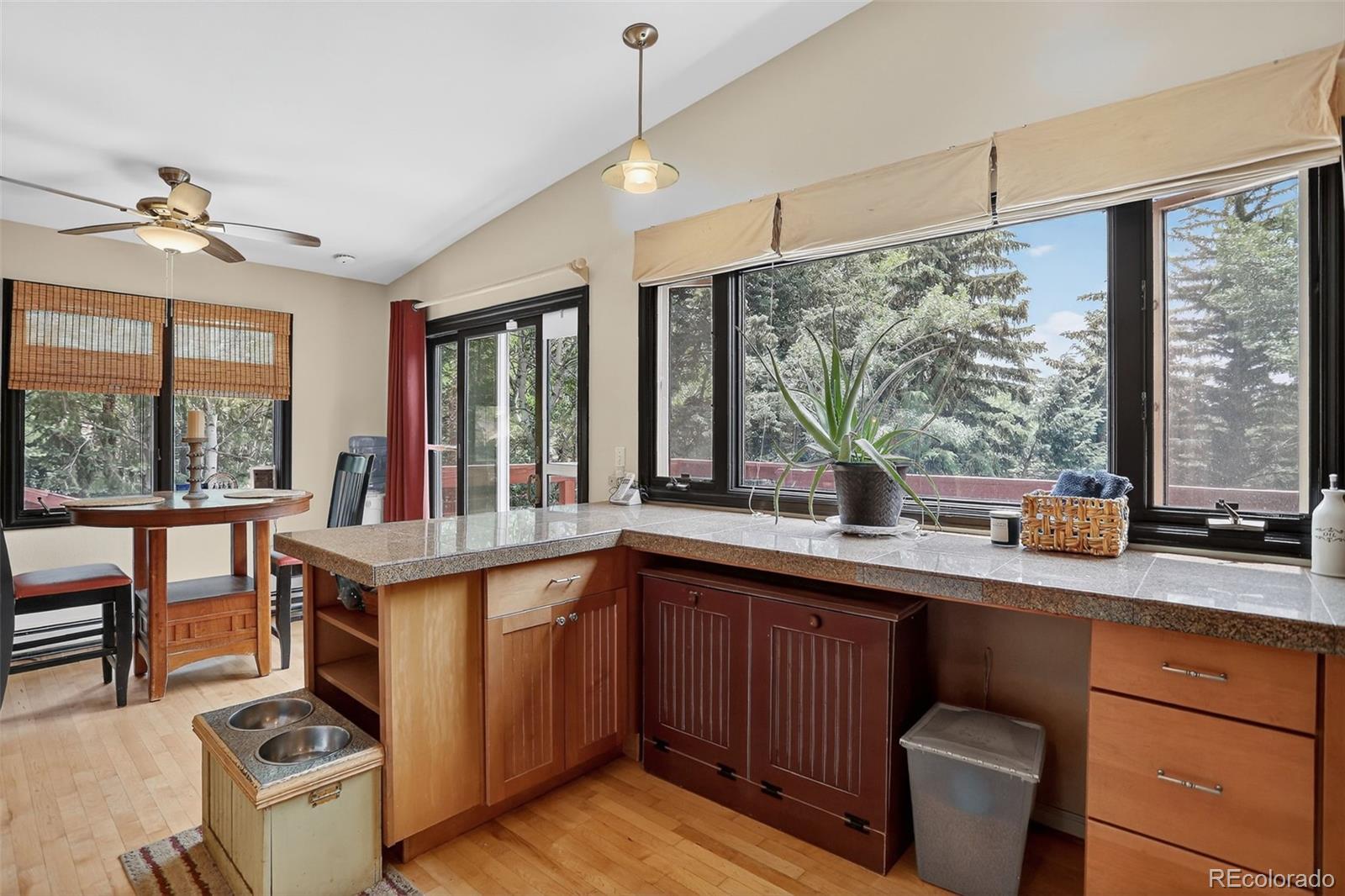 MLS Image #7 for 723  snyder mountain road,evergreen, Colorado