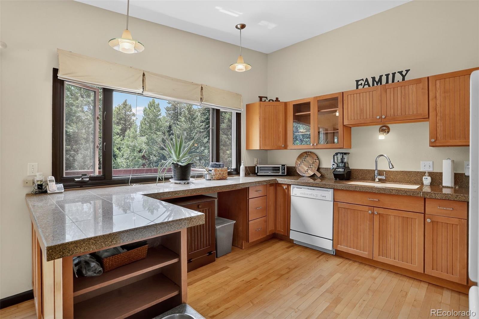 MLS Image #8 for 723  snyder mountain road,evergreen, Colorado