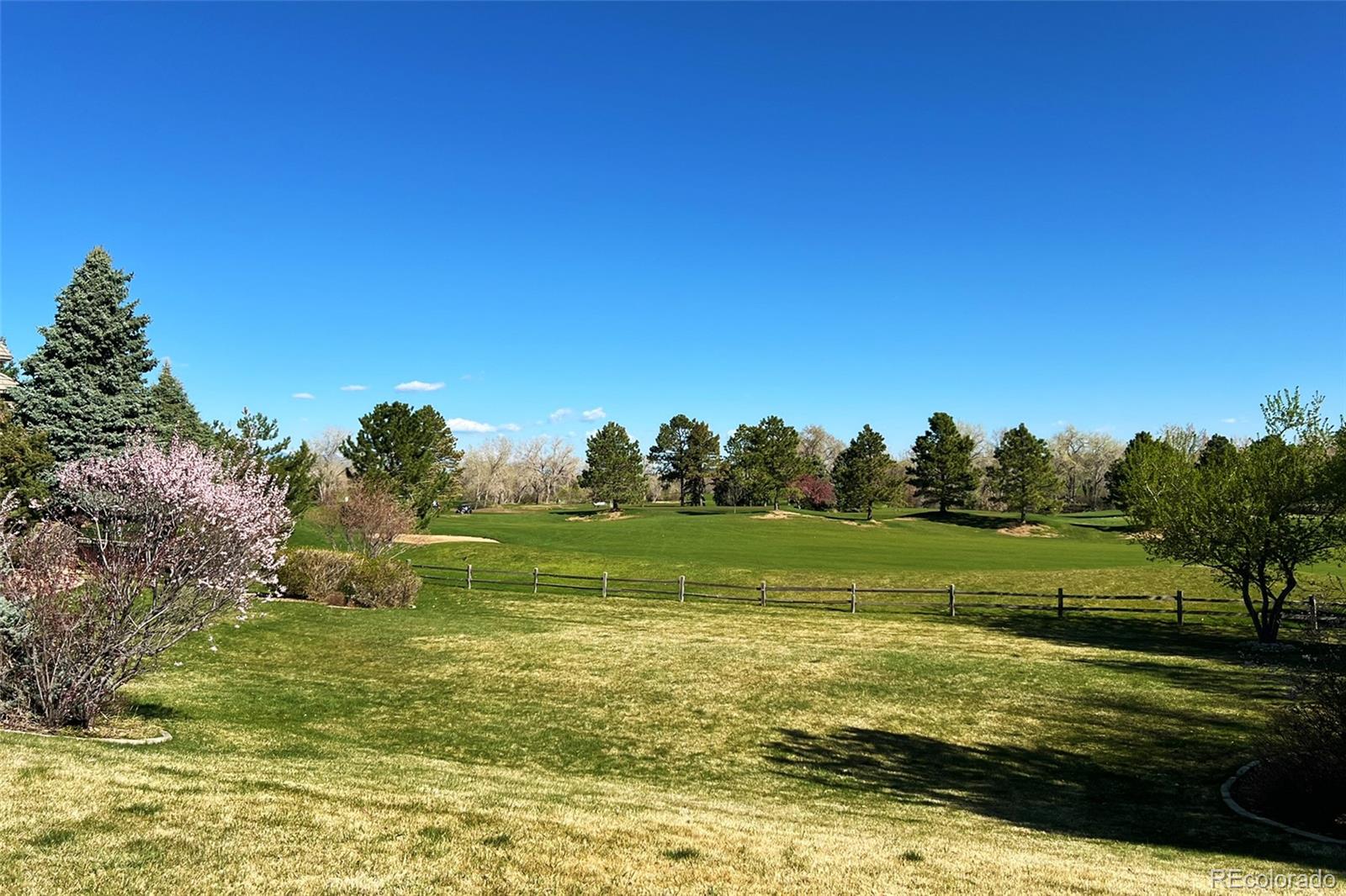 MLS Image #31 for 8073 s albion street,centennial, Colorado