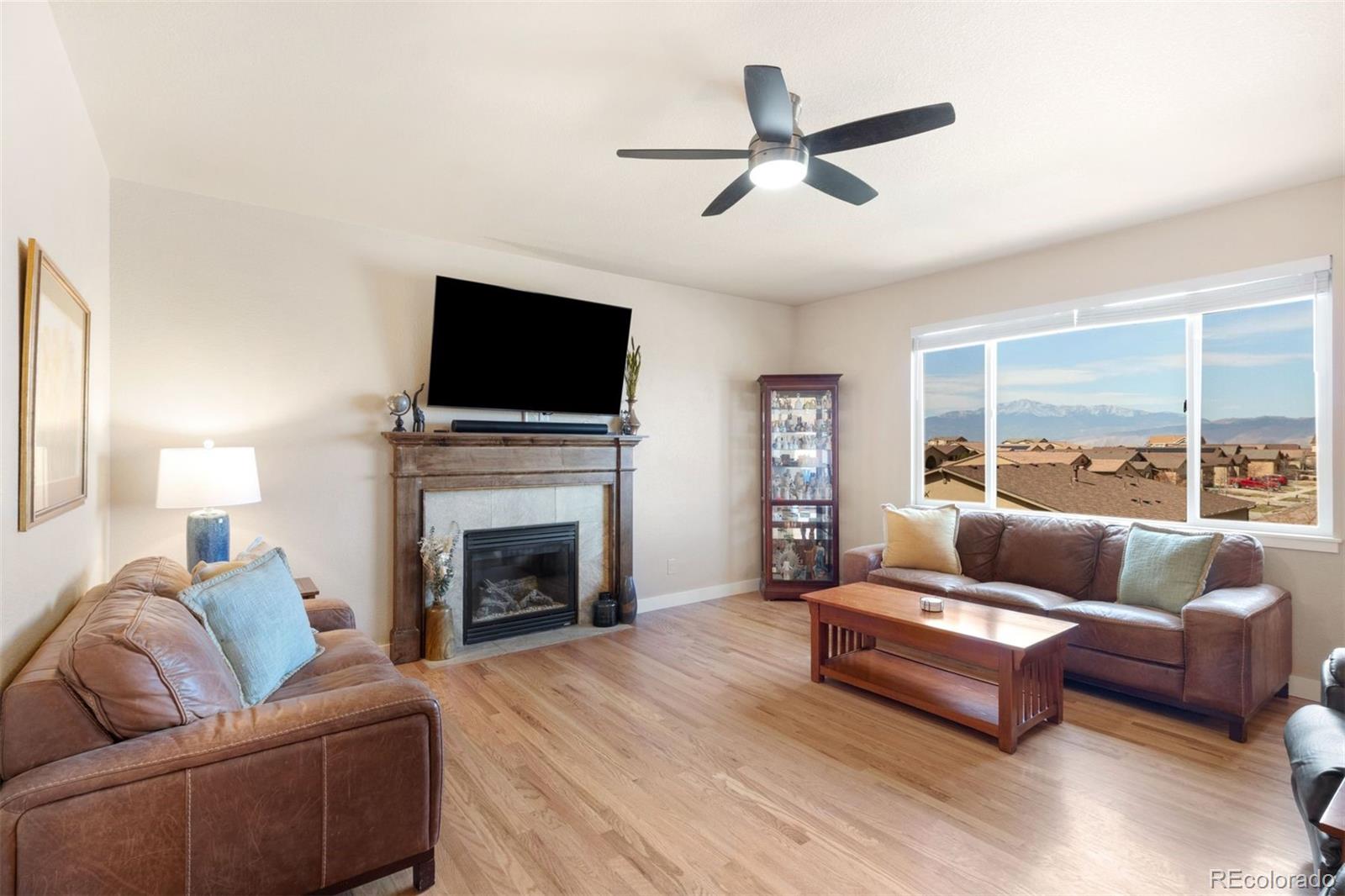MLS Image #3 for 8058  mount huron trail,colorado springs, Colorado