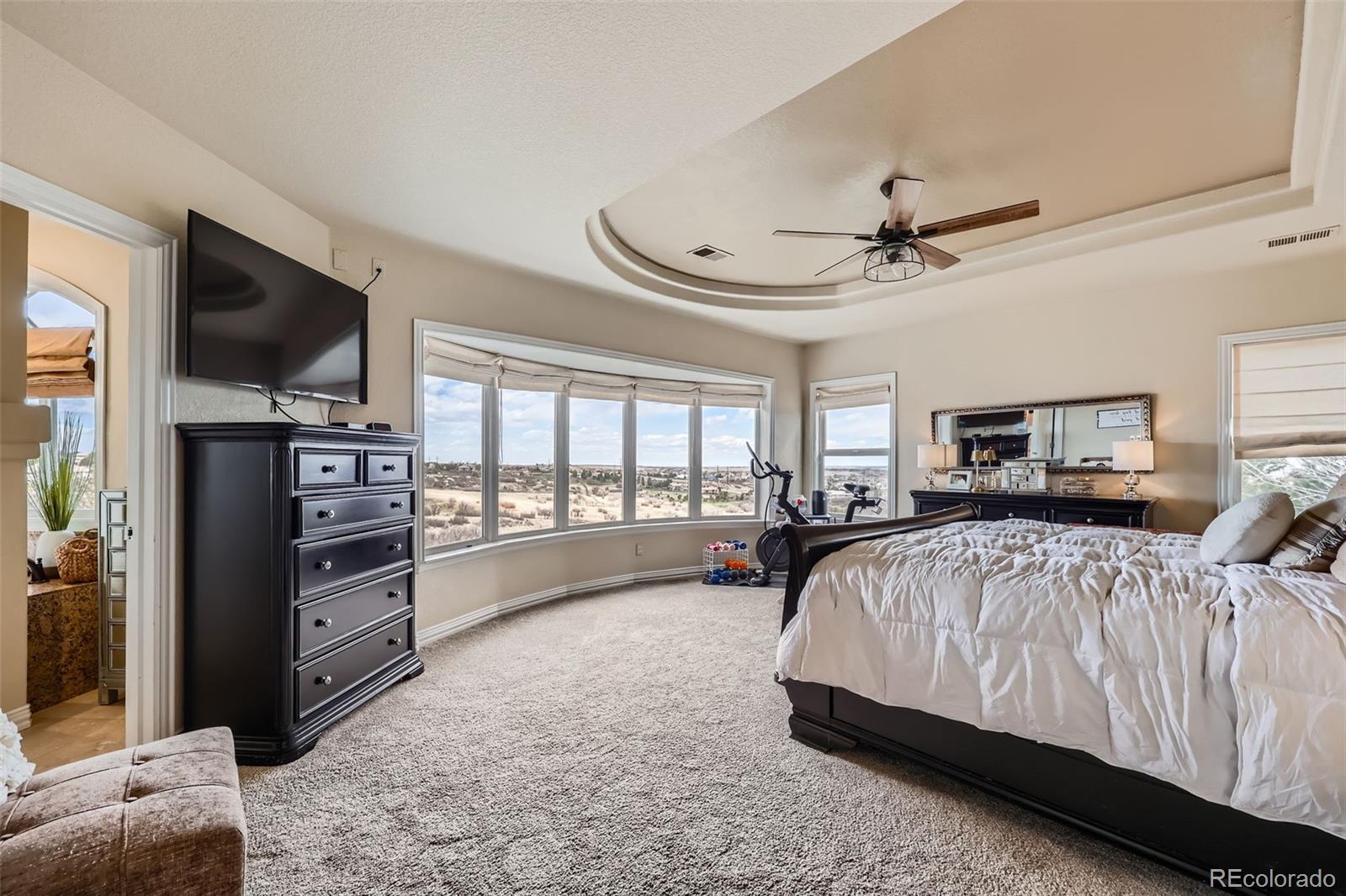 MLS Image #13 for 1289  diamond ridge circle,castle rock, Colorado